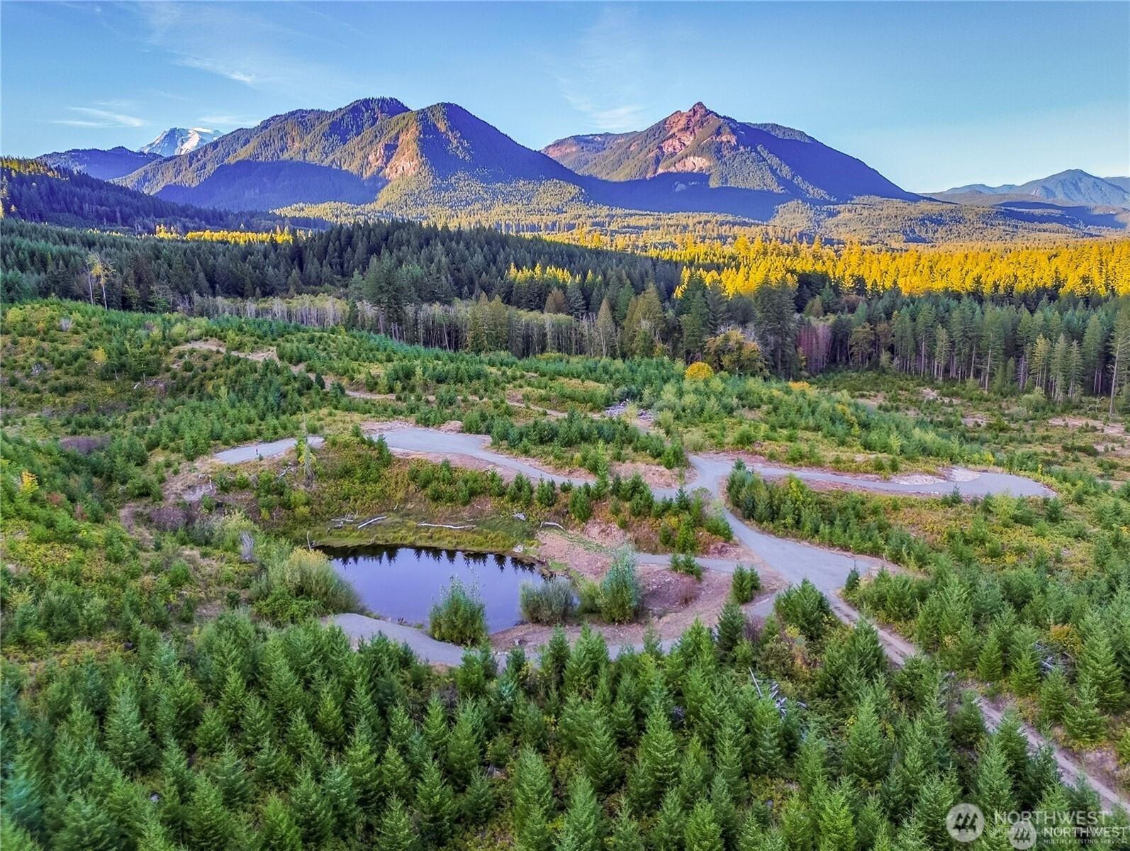 294 Hardy Lane, Packwood, WA 98361