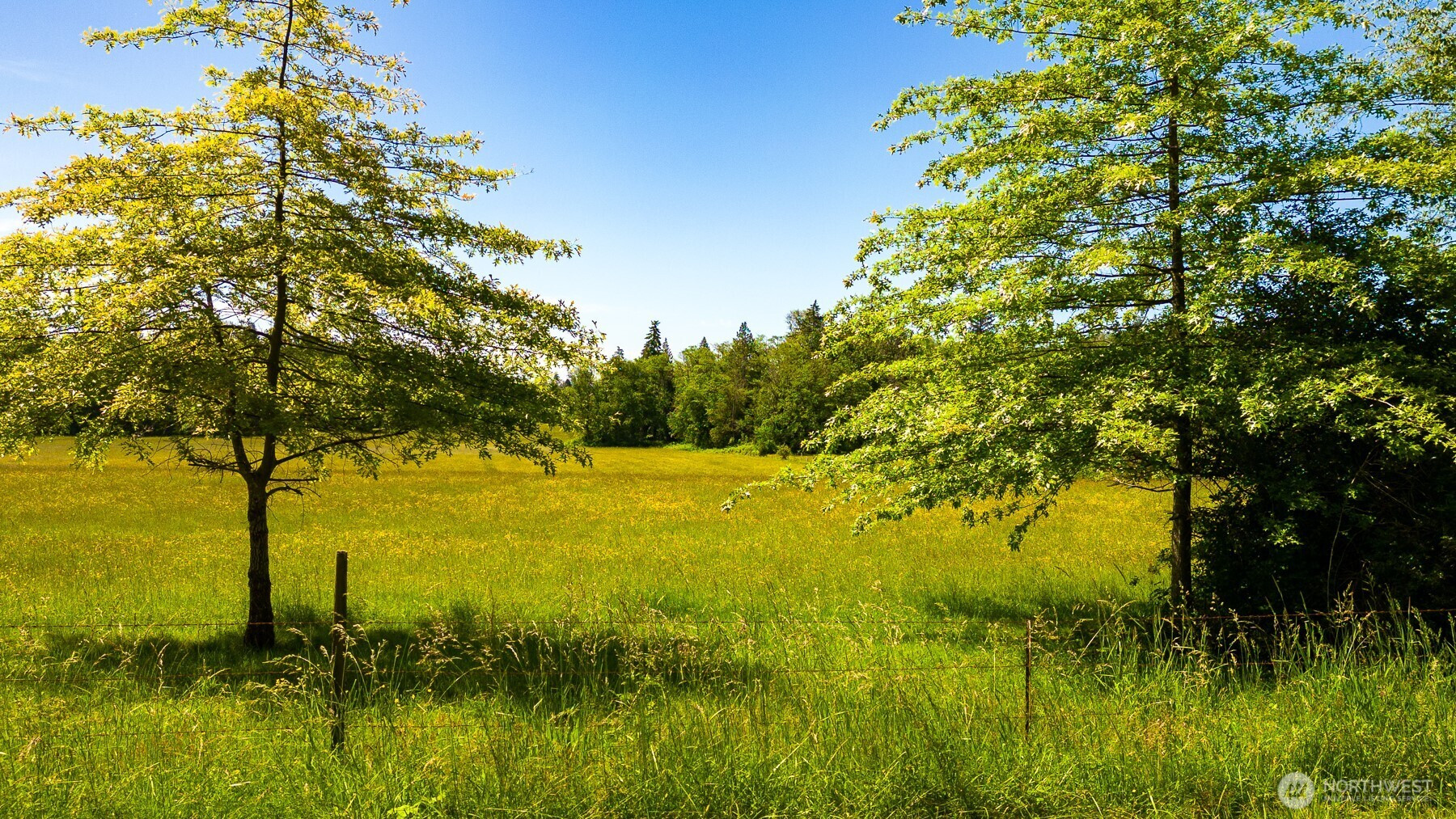 0 Pipeline Road, Blaine, WA 98230