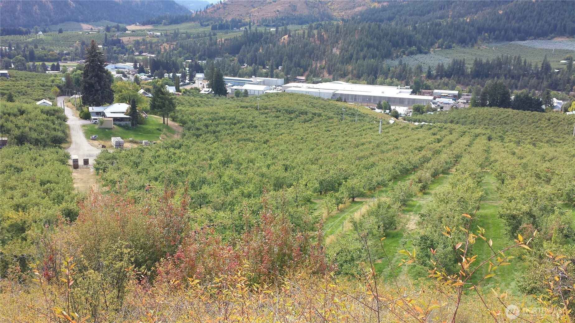 1 Ludwig Hill Rd, Peshastin, WA 98847