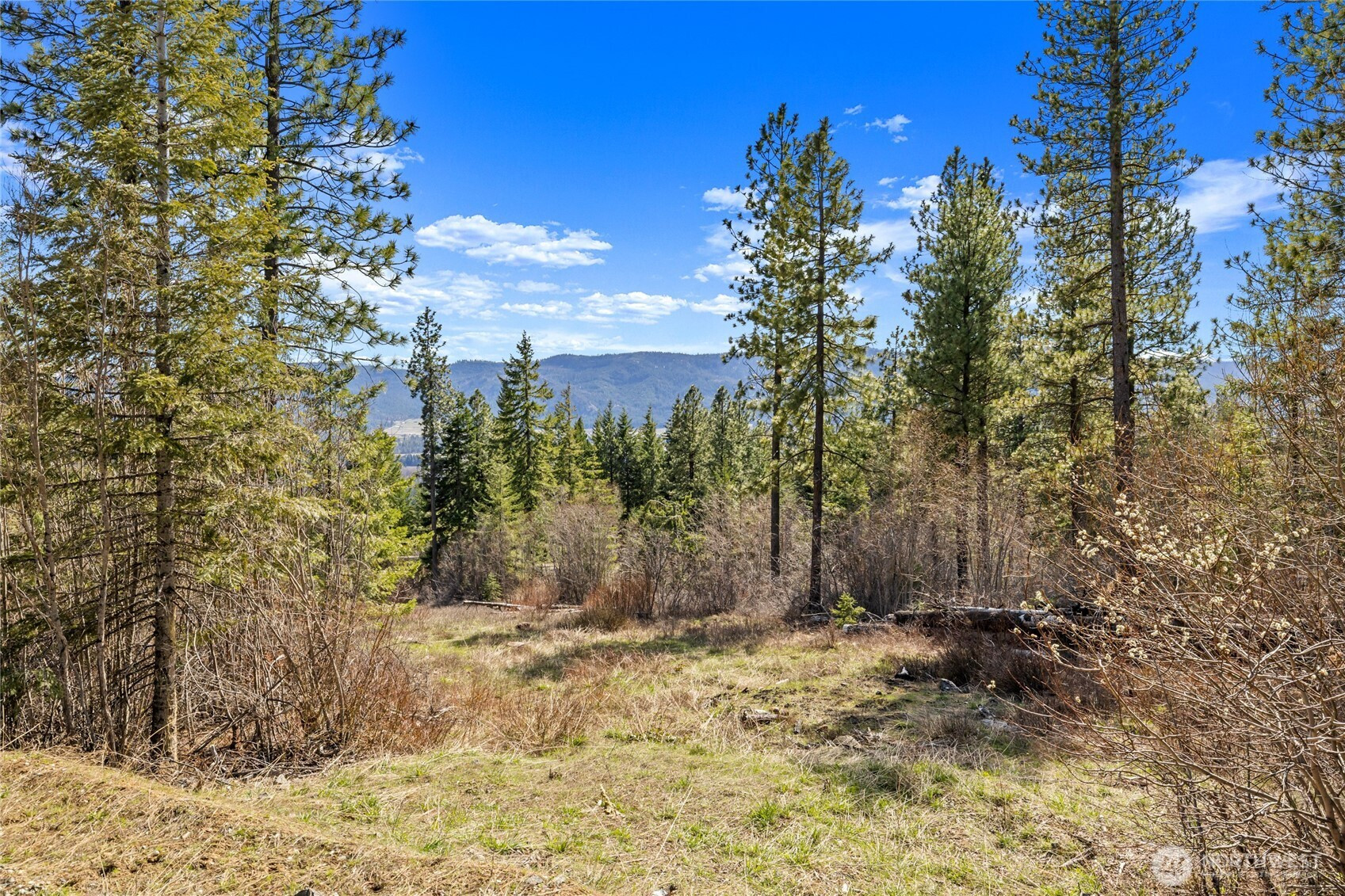6 Forest Ridge (Lot 6) Drive, Cle Elum, WA 98922