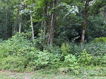 72 Saratoga Drive, Hat Island, WA 98206