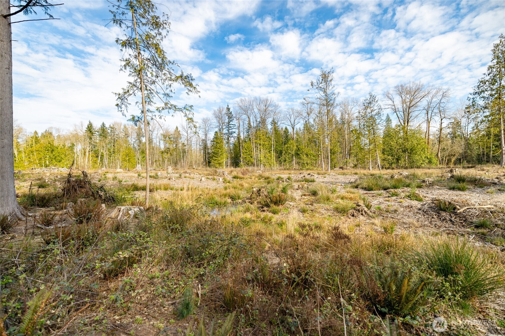 0 NHN H Street Road, Blaine, WA 98230