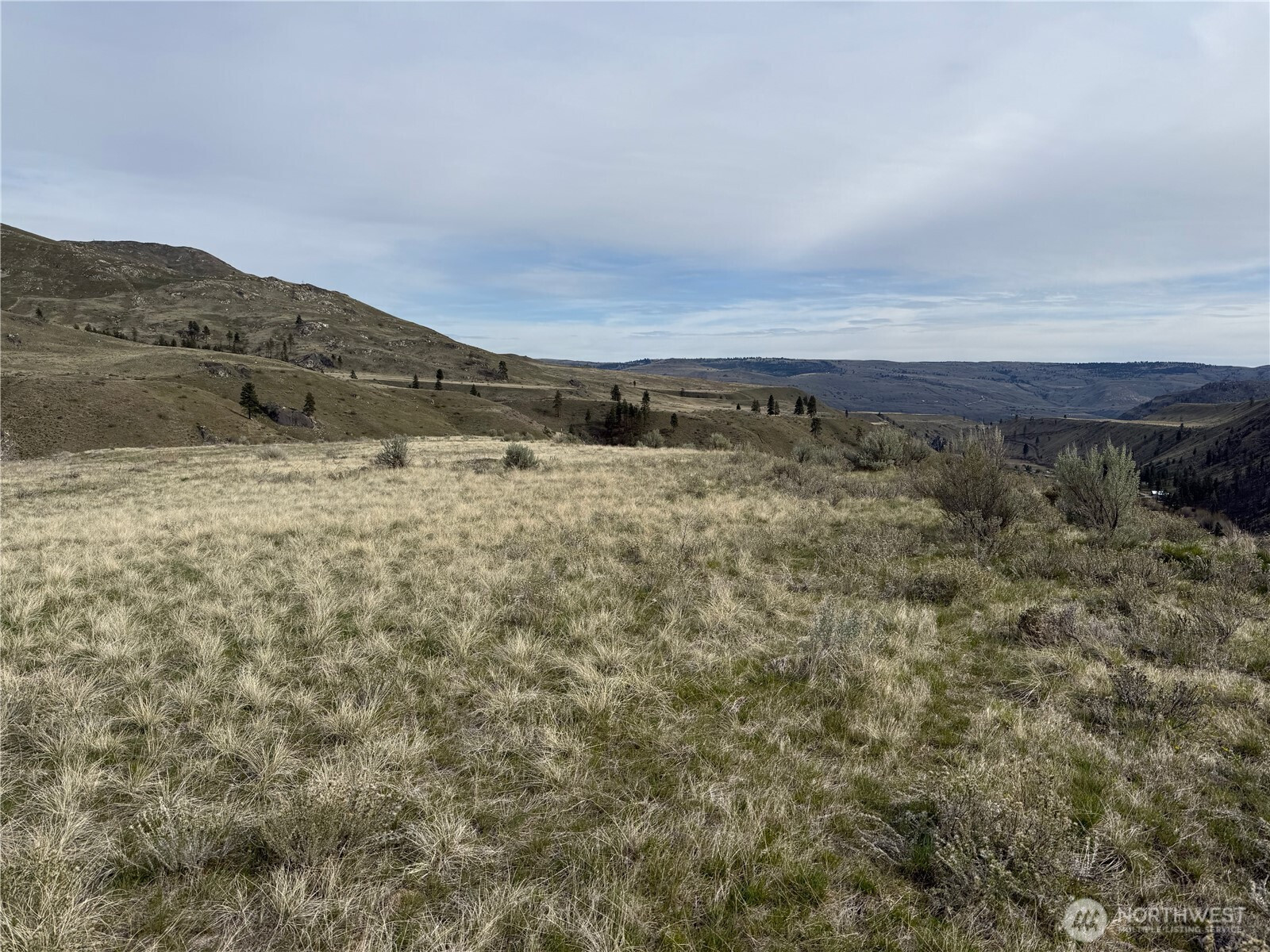 2830 Antoine Creek Road, Chelan, WA 98816