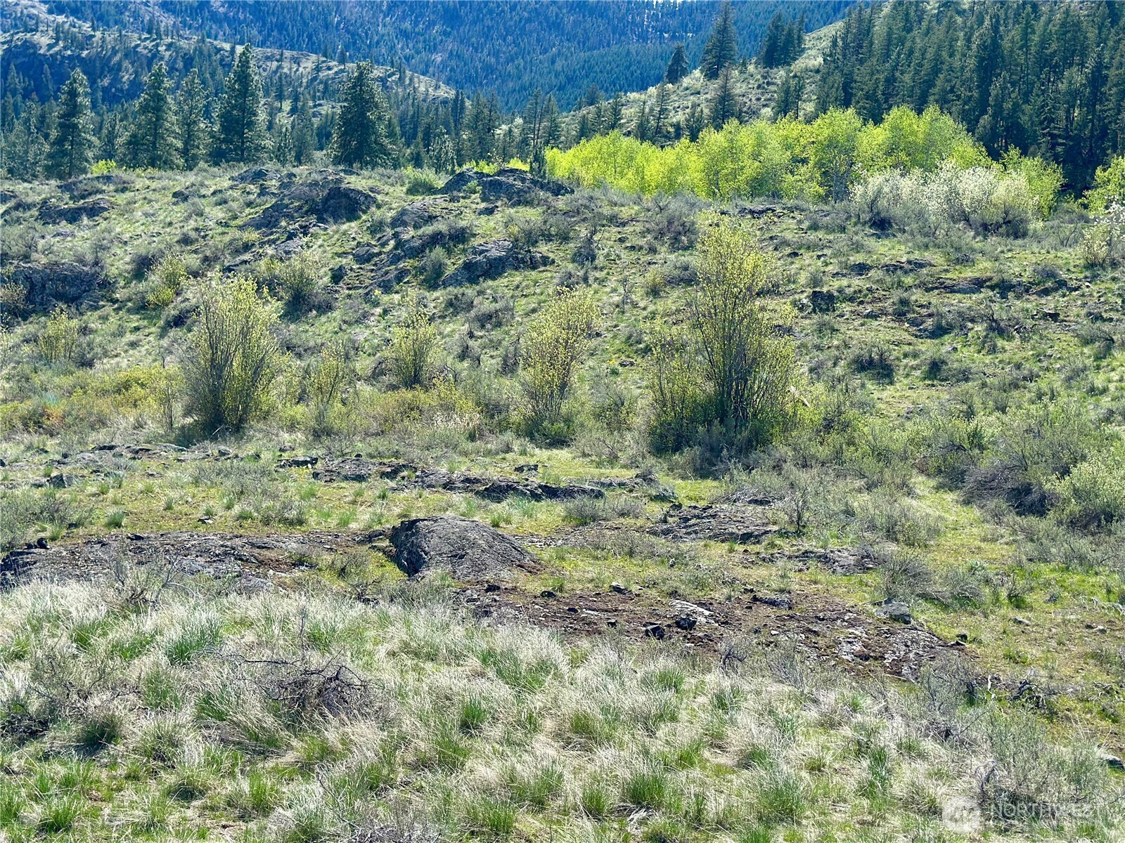 2 x Alder Road, Twisp, WA 98856