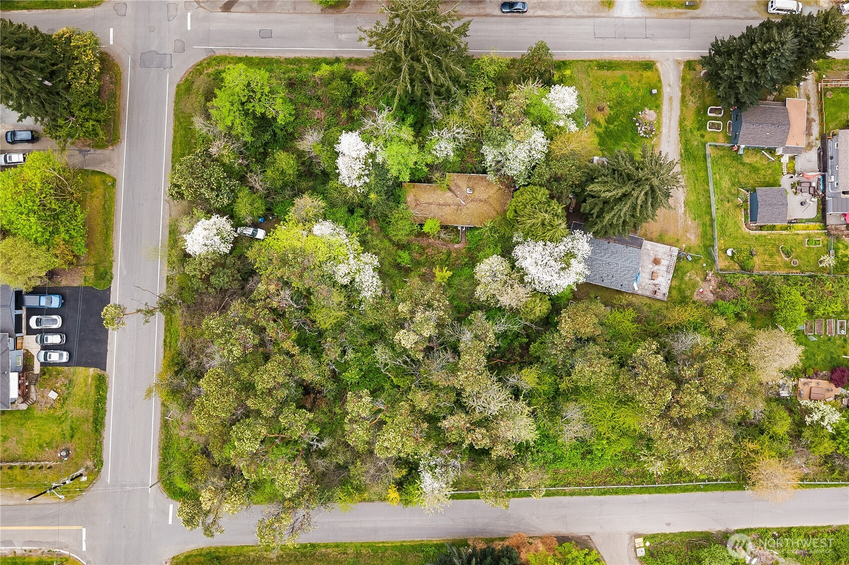 10434 22nd Avenue SW, Seattle, WA 98146