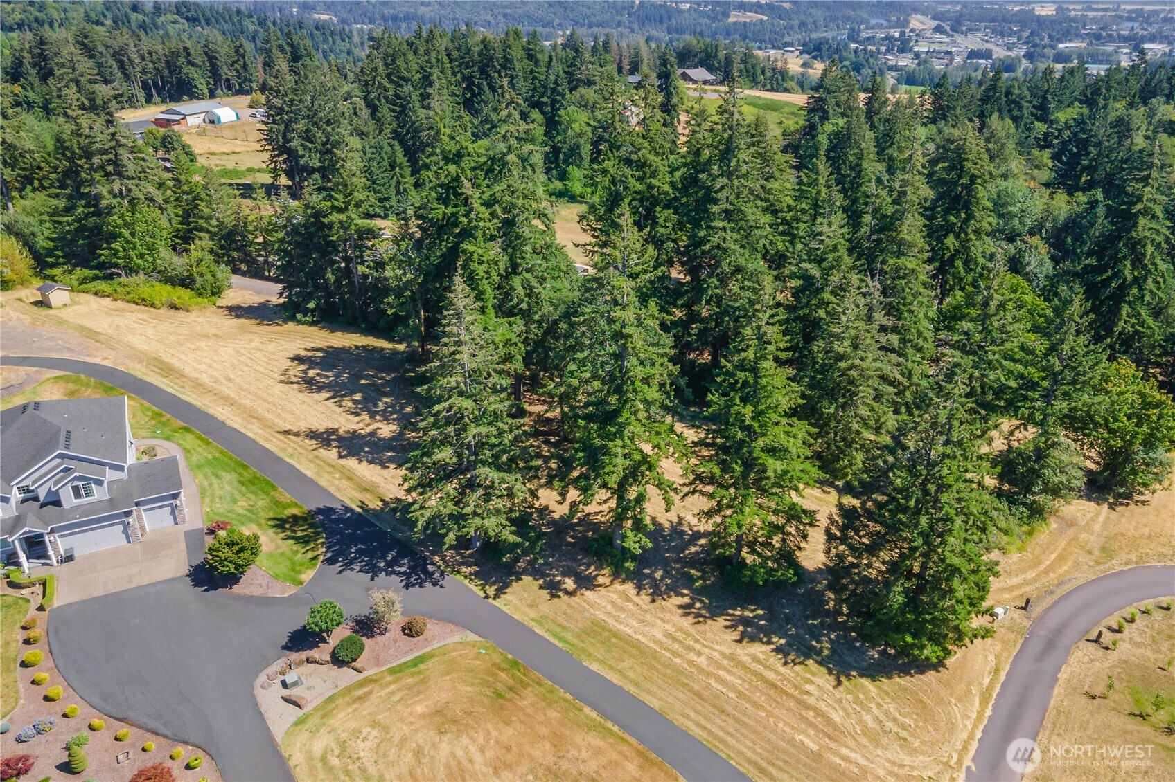 165 Saturn Ave, Woodland, WA 98674