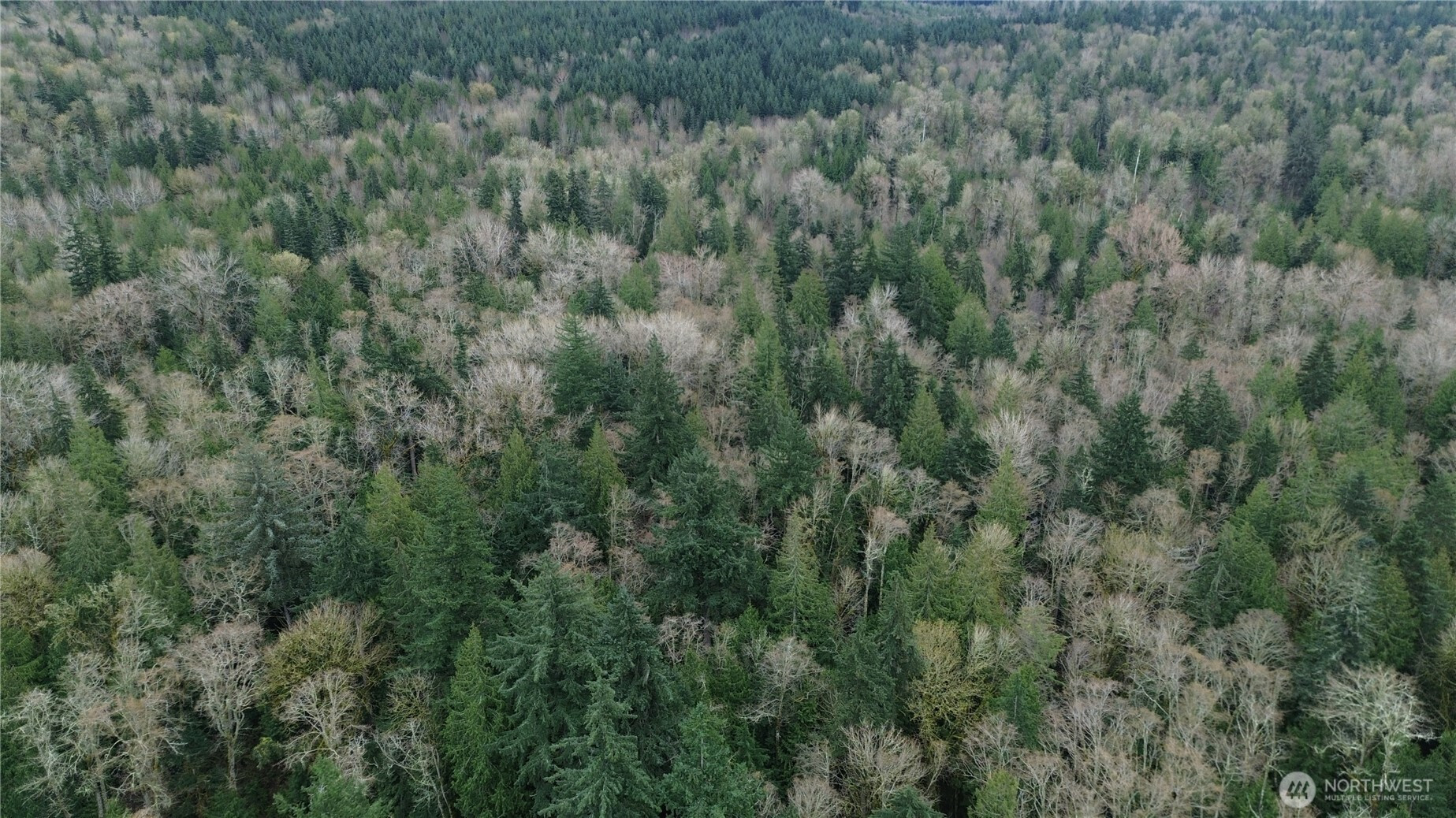 9 E Street, Bellingham, WA 98225