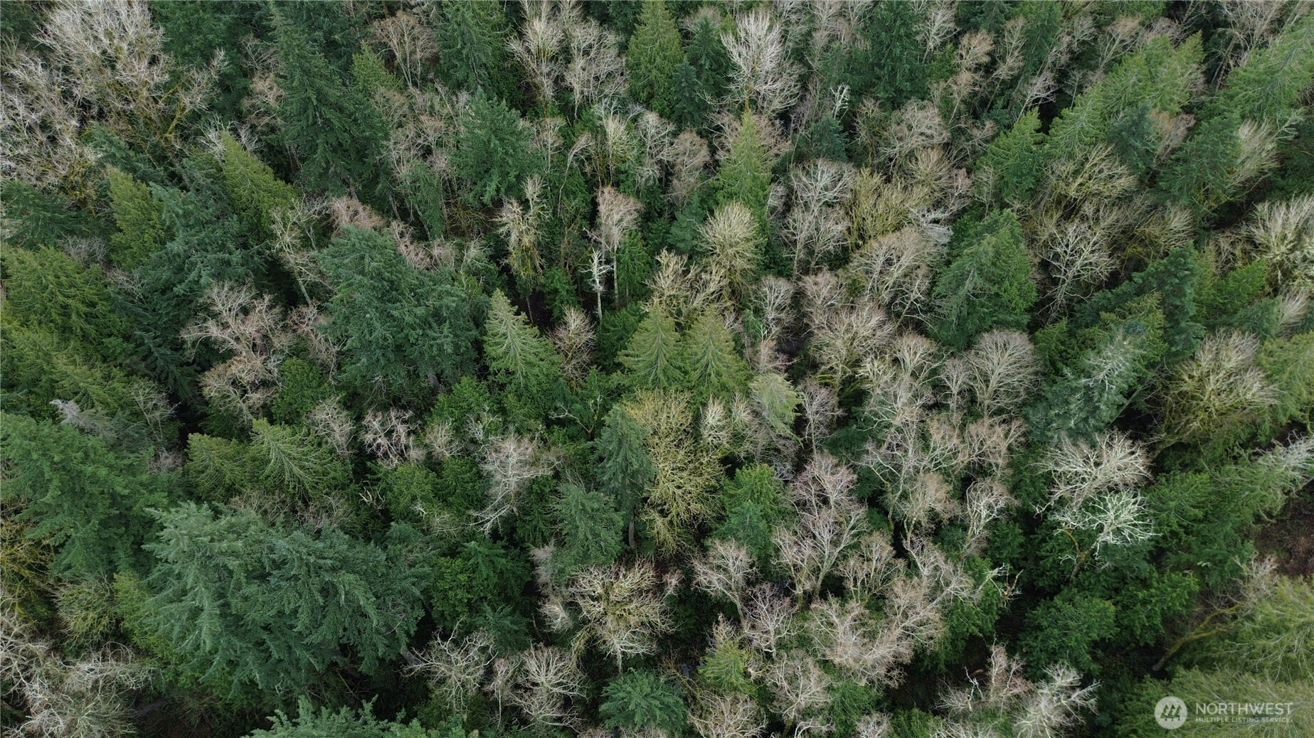 10 E Street, Bellingham, WA 98225