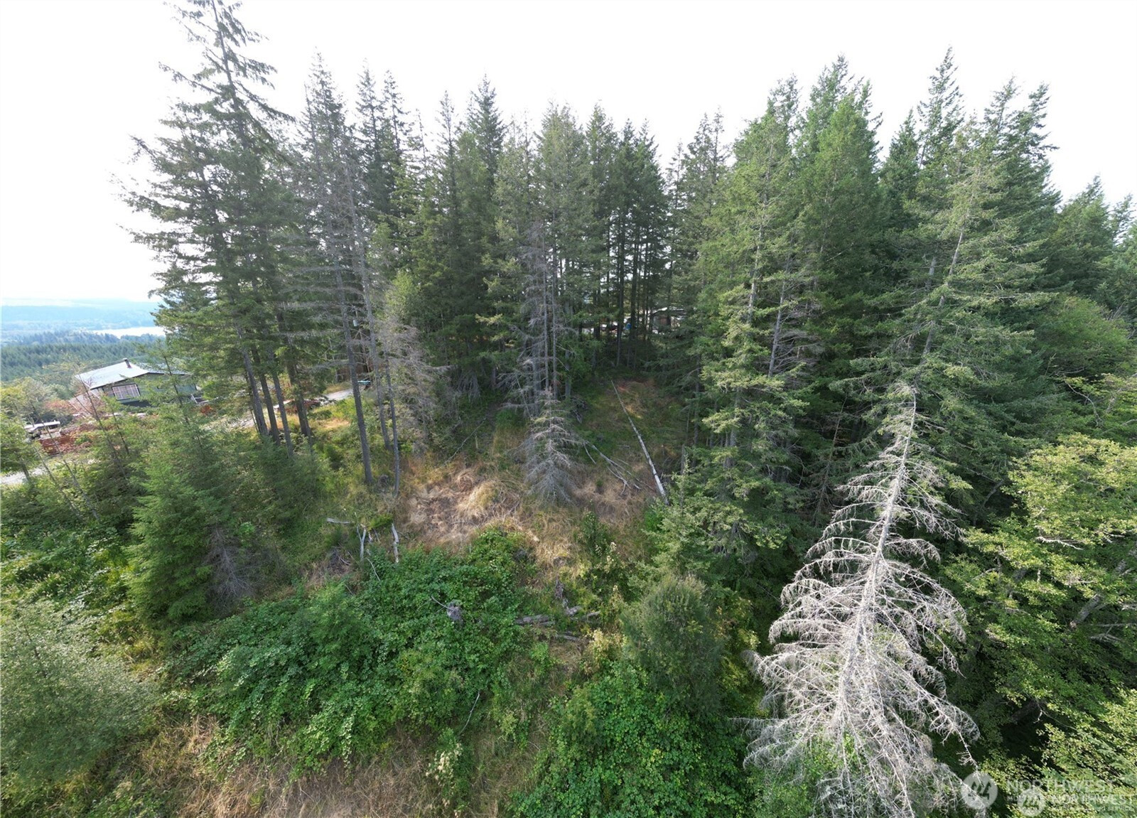 50113 146th Avenue E, Eatonville, WA 98328