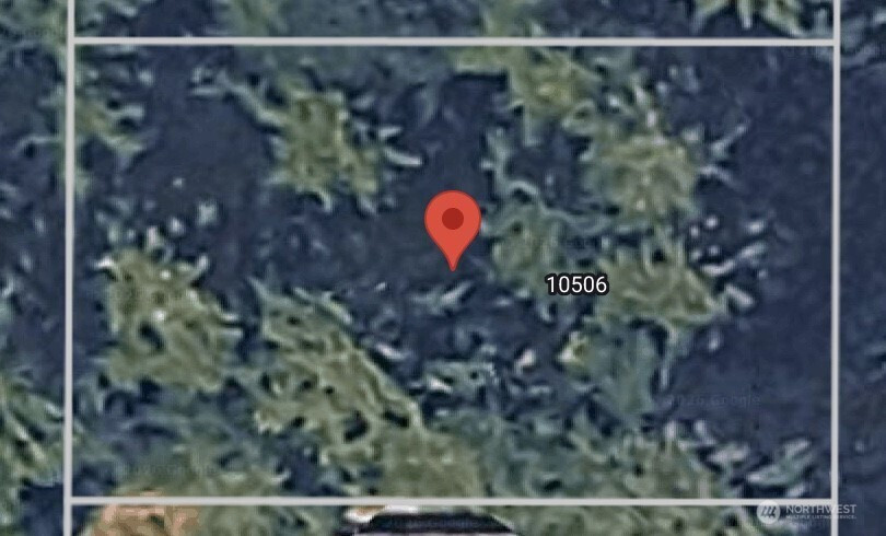 10506 Tahoma Dr Drive, Anderson Island, WA 98303