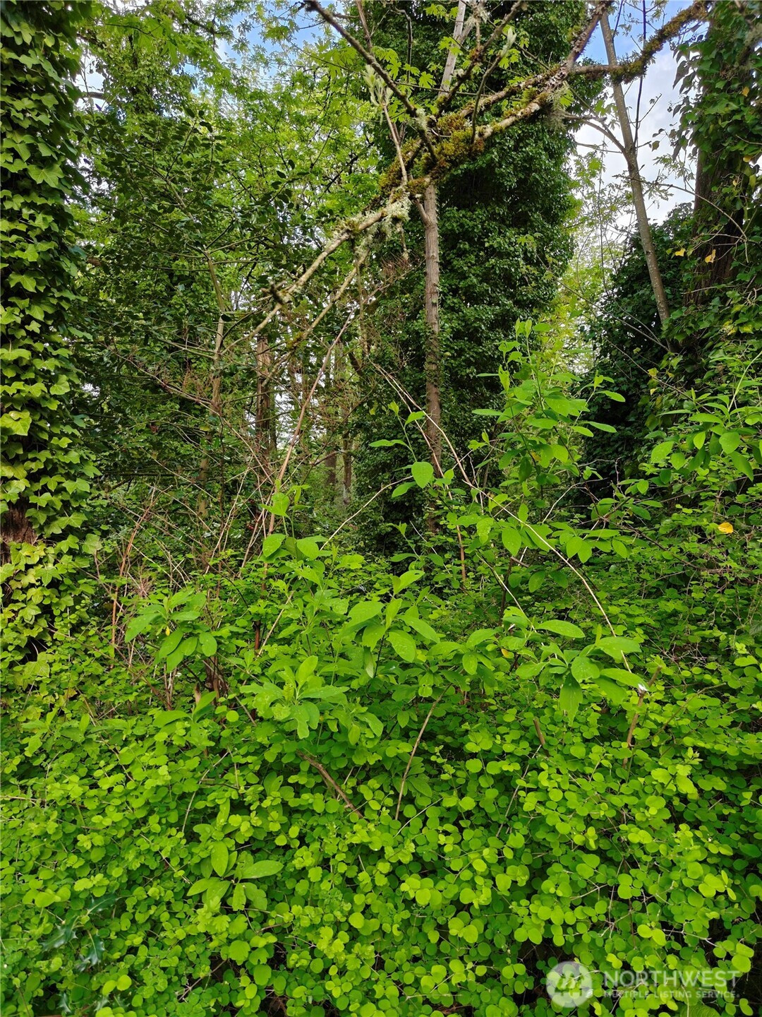 8813 42nd Avenue S, Seattle, WA 98118