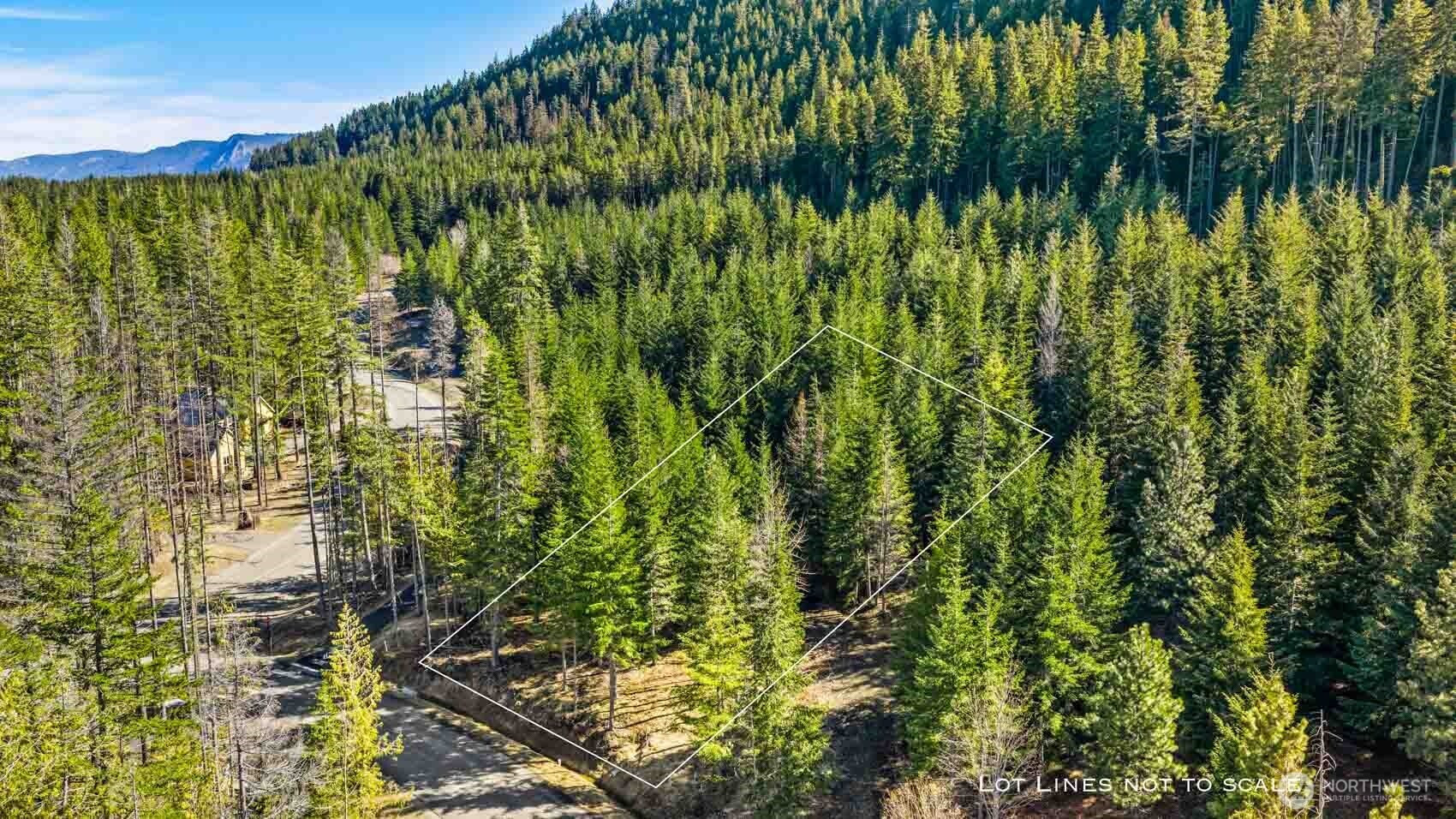 74 Liberty Bell Lane, Cle Elum, WA 98922