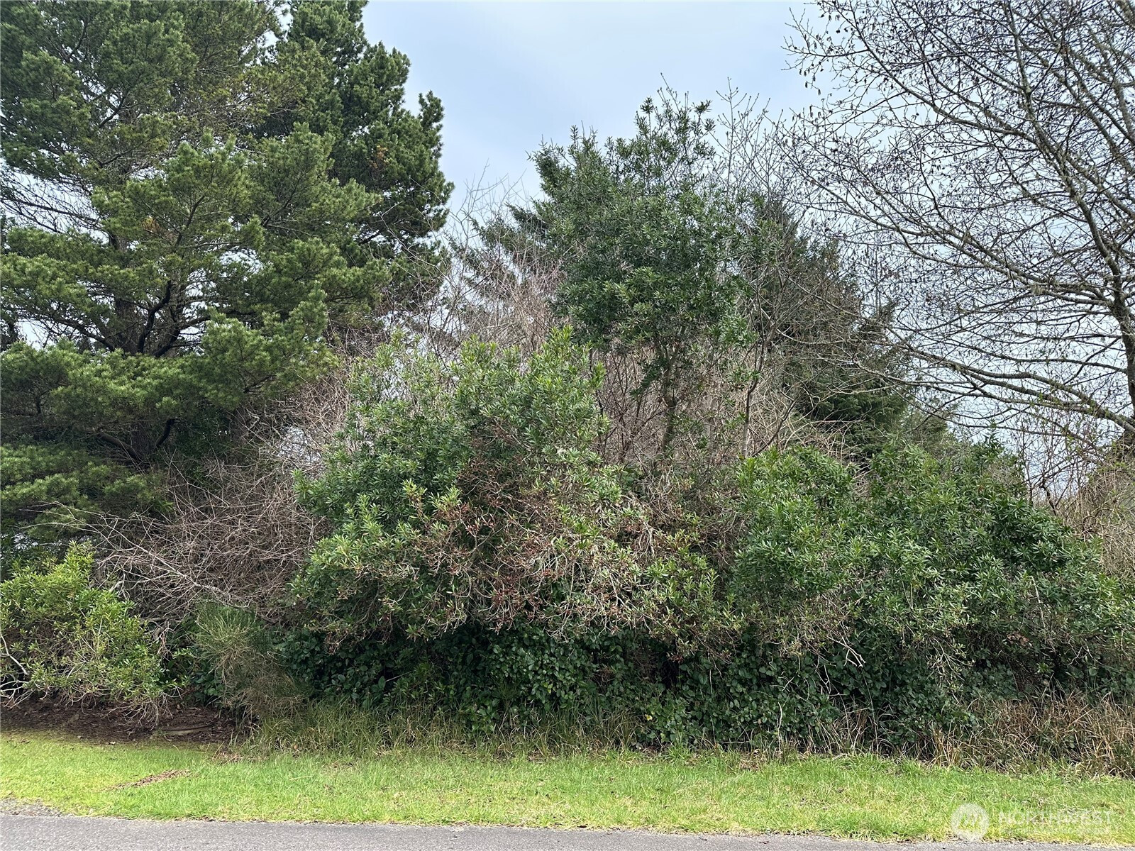 204 Muskrat Ct Sw, Ocean Shores, WA 98569