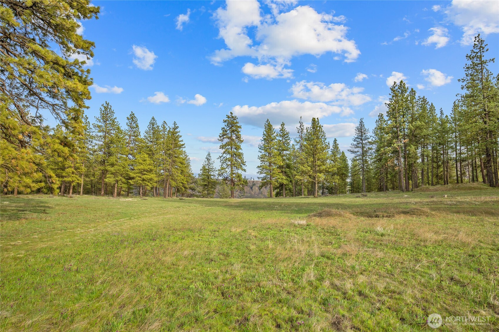 297 Swauk Pines Road, Cle Elum, WA 98922
