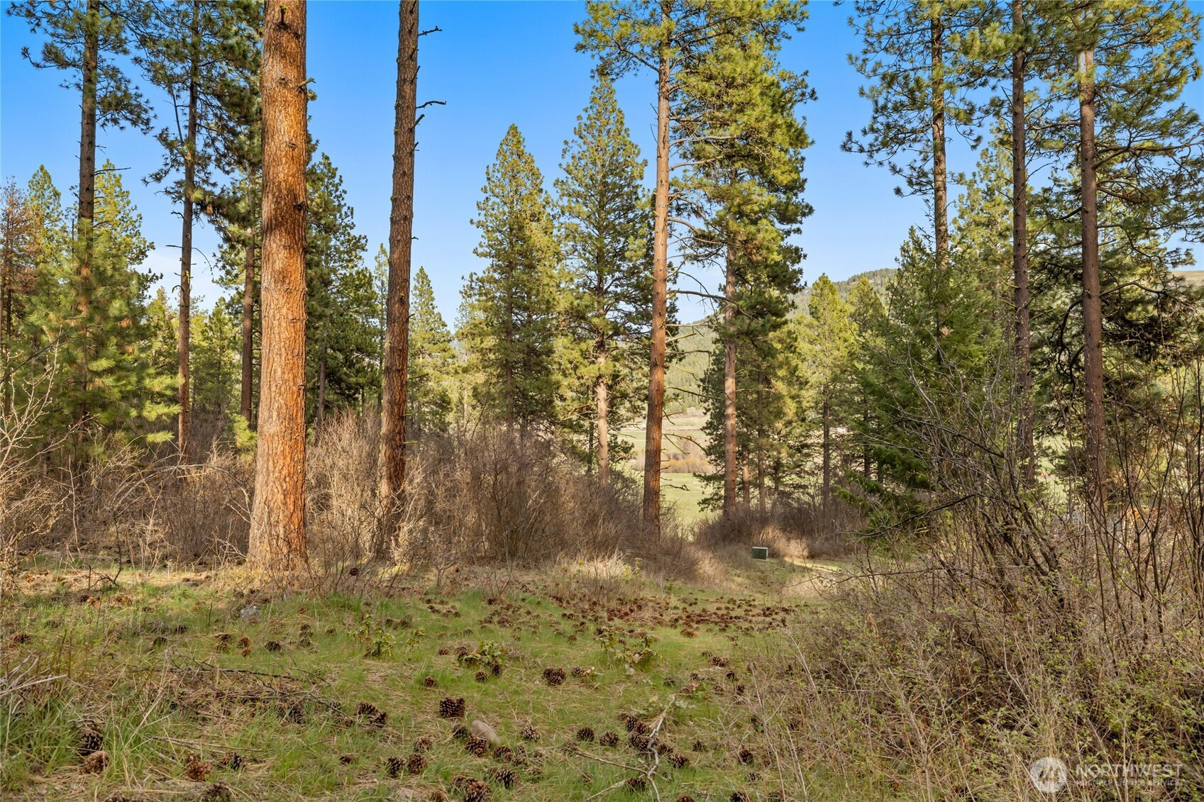 250 Fir Tree Drive, Cle Elum, WA 98922