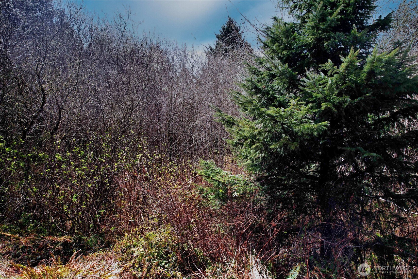 31 Ocean Beach Road, Pacific Beach, WA 98571