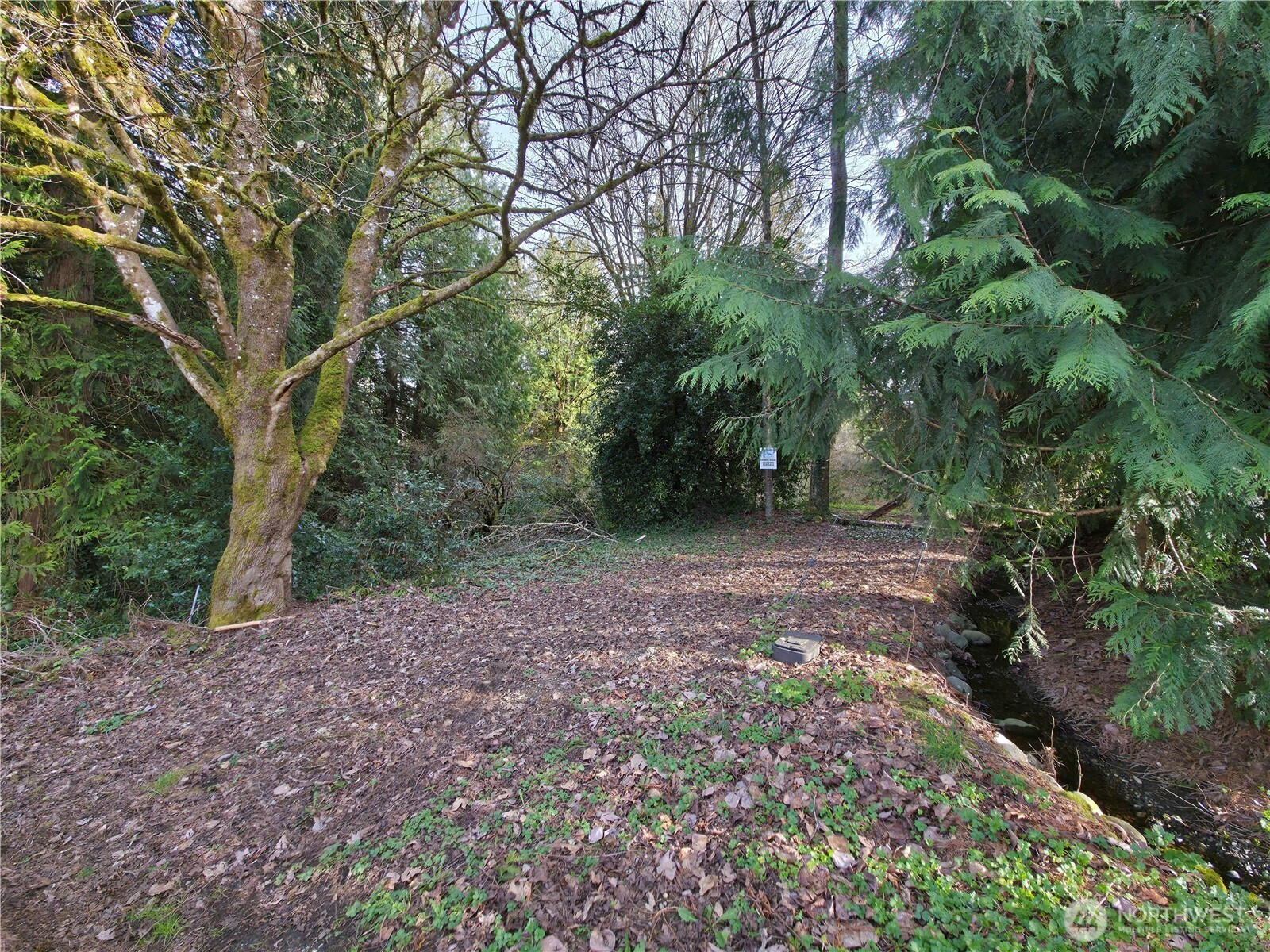 19455 SE 168th Street, Renton, WA 98058