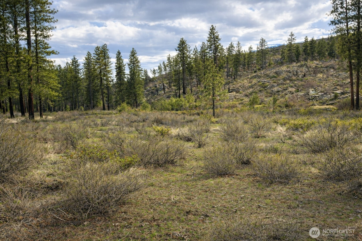 1 N Cook Mt Road, Okanogan, WA 98840