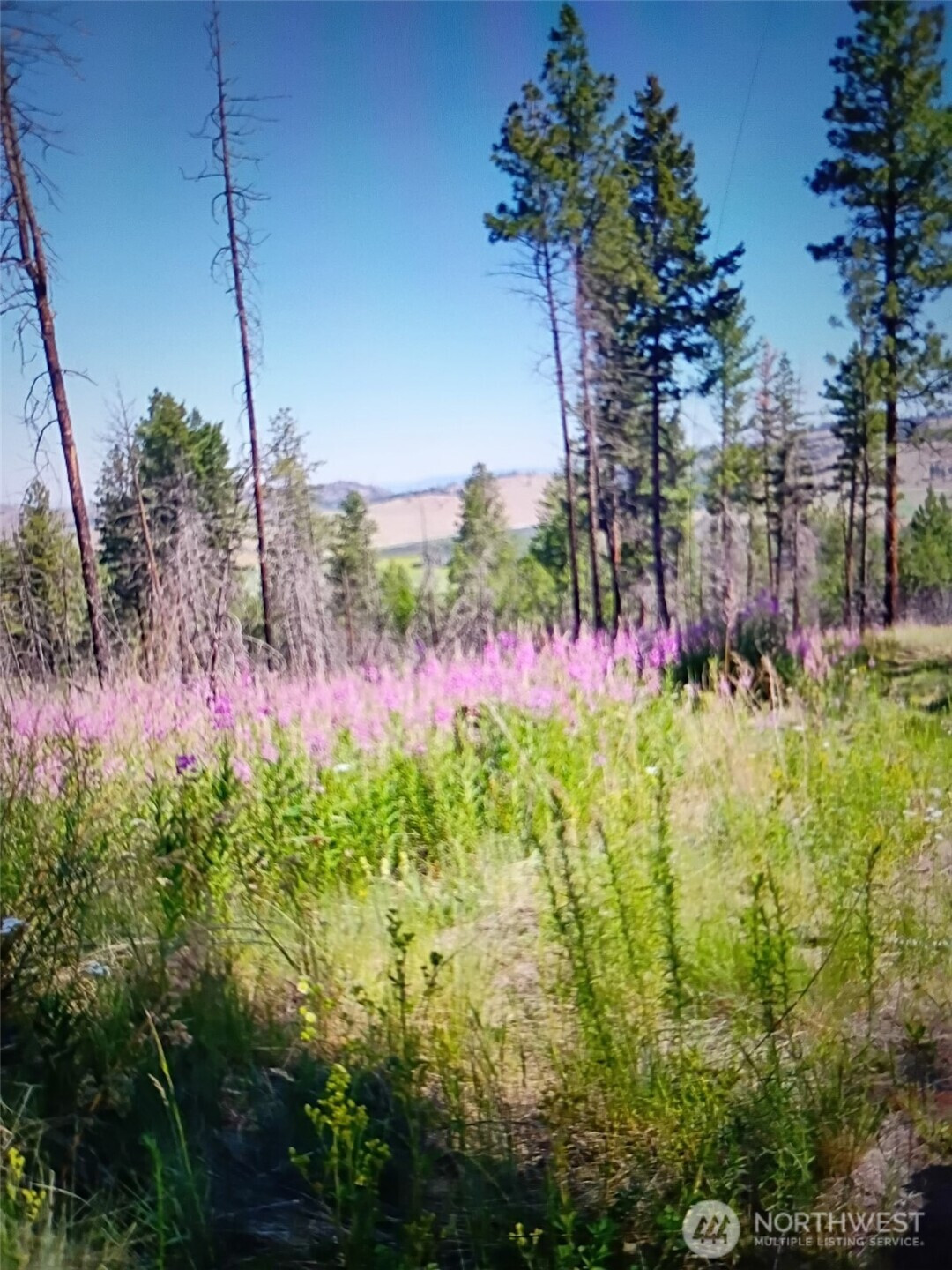 111 TBD J H Green RD, Tonasket, WA 98855