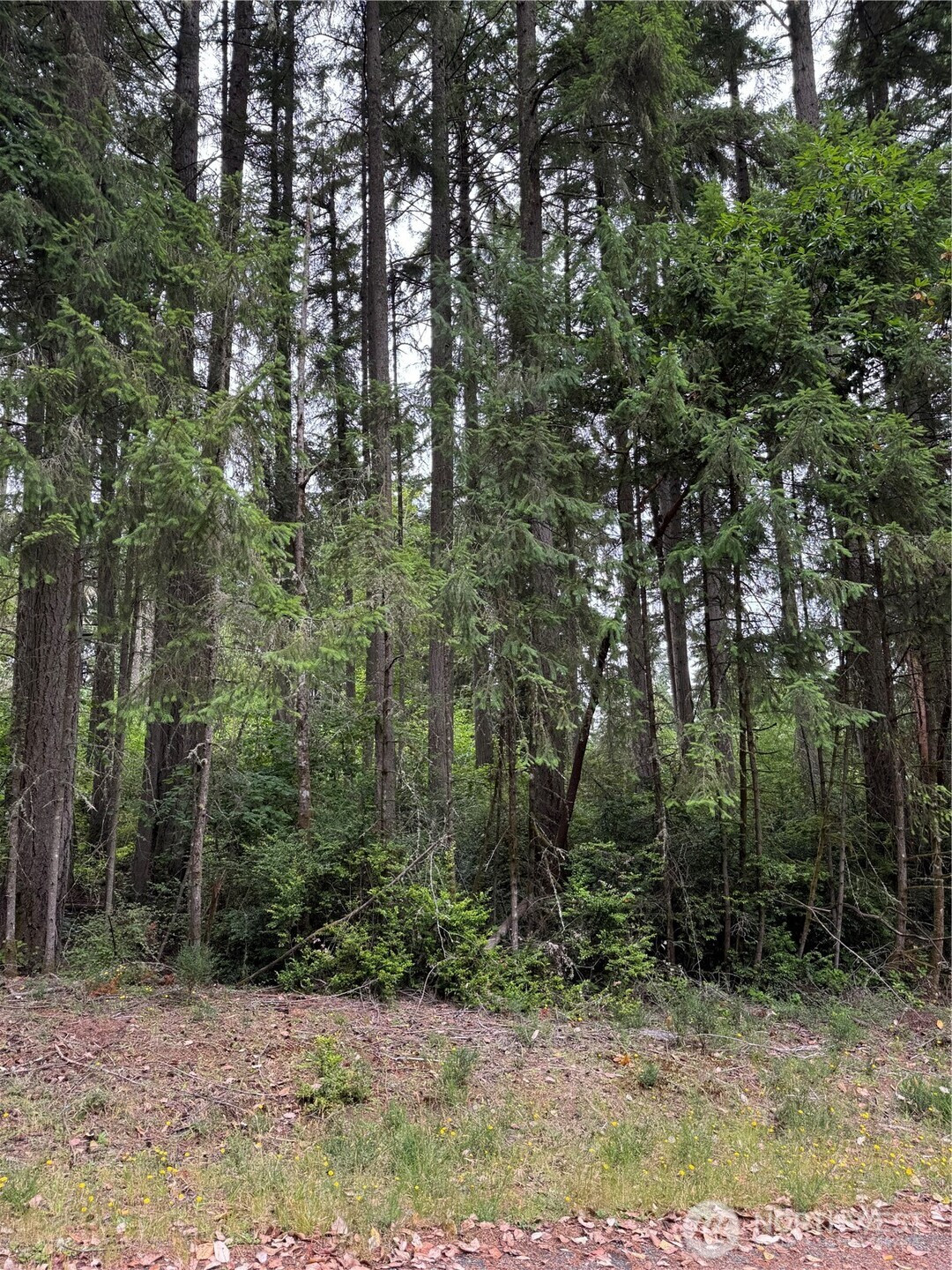 12216 Wapato Road, Anderson Island, WA 98303