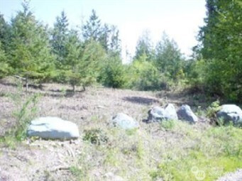 1111 xxxx Whiteman Road, Longbranch, WA 98351