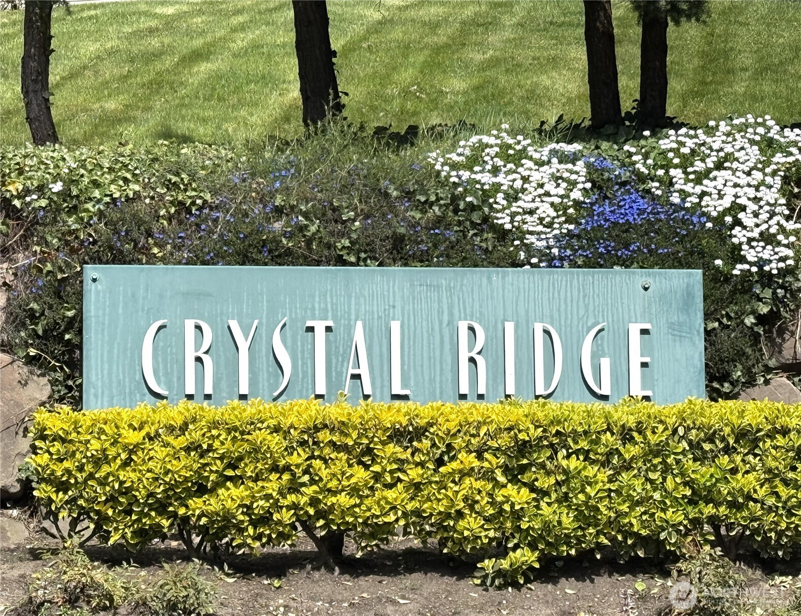 15335 Sunwood Blvd, Tukwila, WA 98188