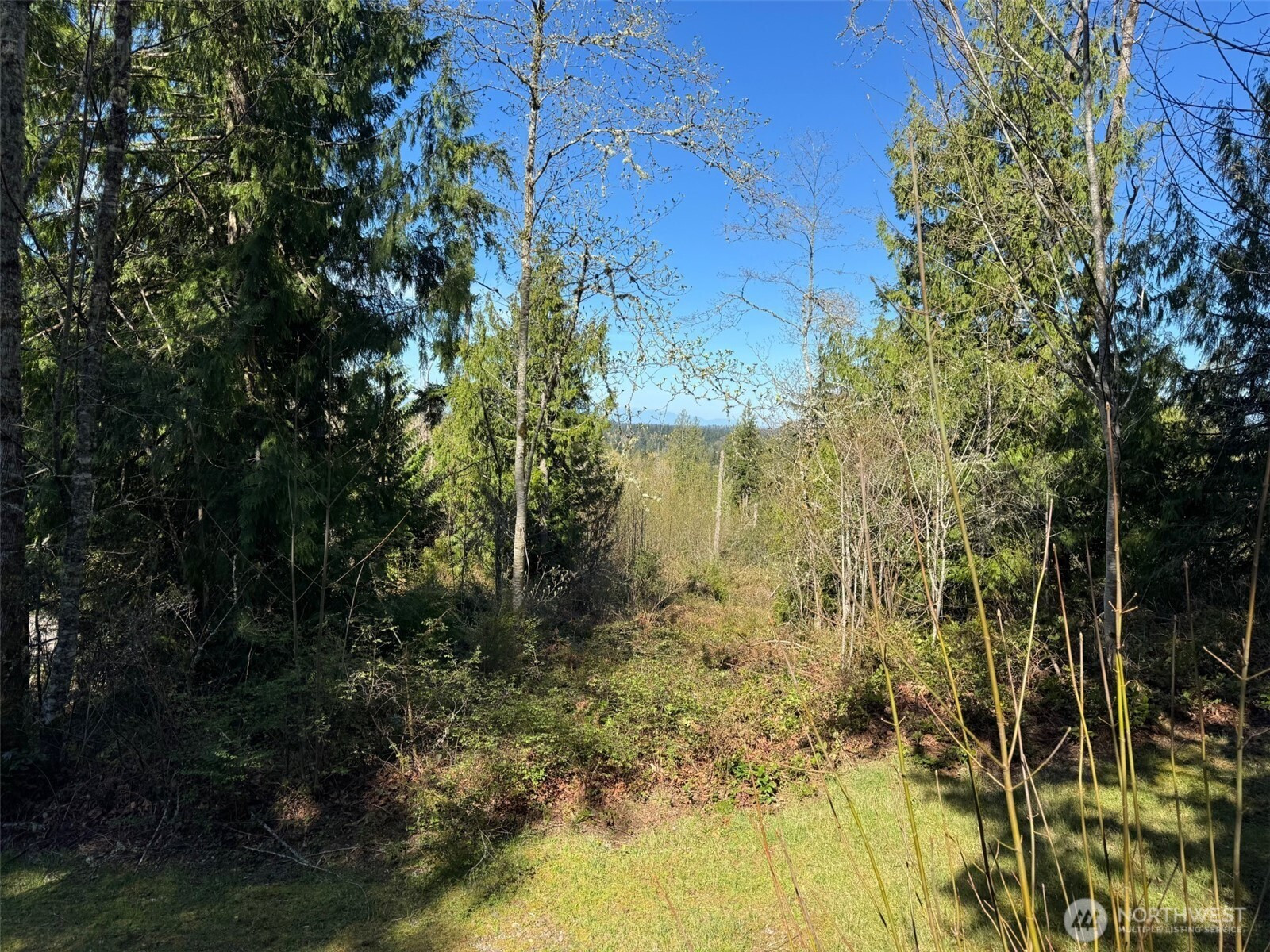 4 XXX 287th Avenue SE, Fall City, WA 98024