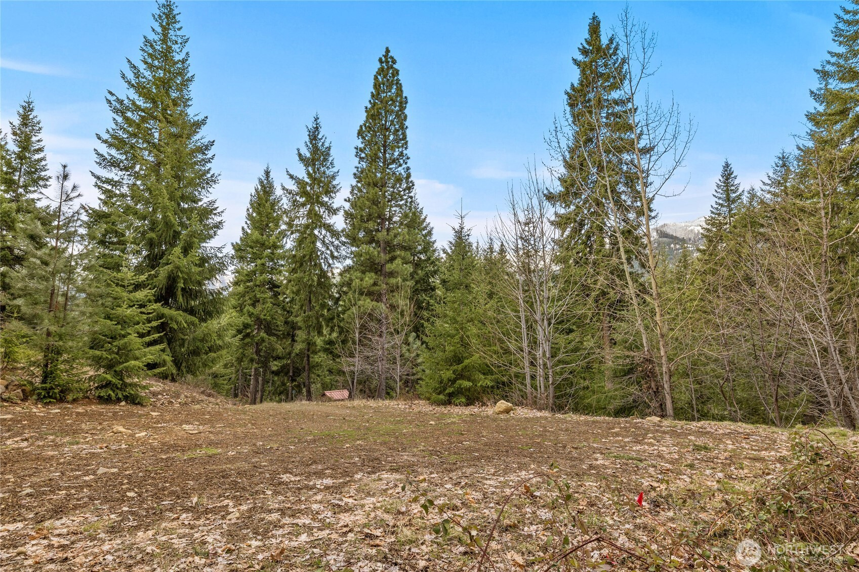 33 Lakeside Court, Ronald, WA 98940