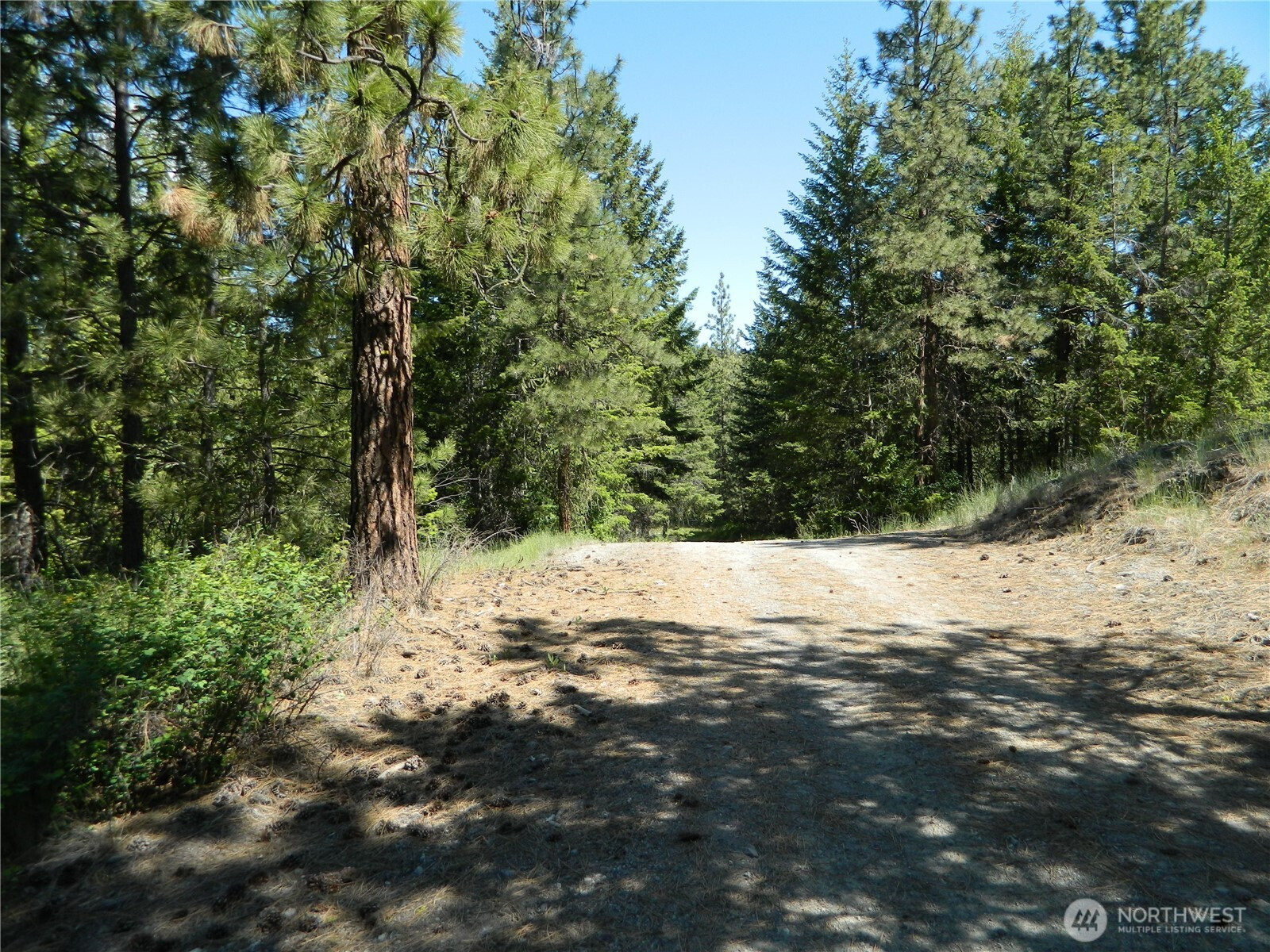 0 Tbd Murphy Ranch Road, Tonasket, WA 98855