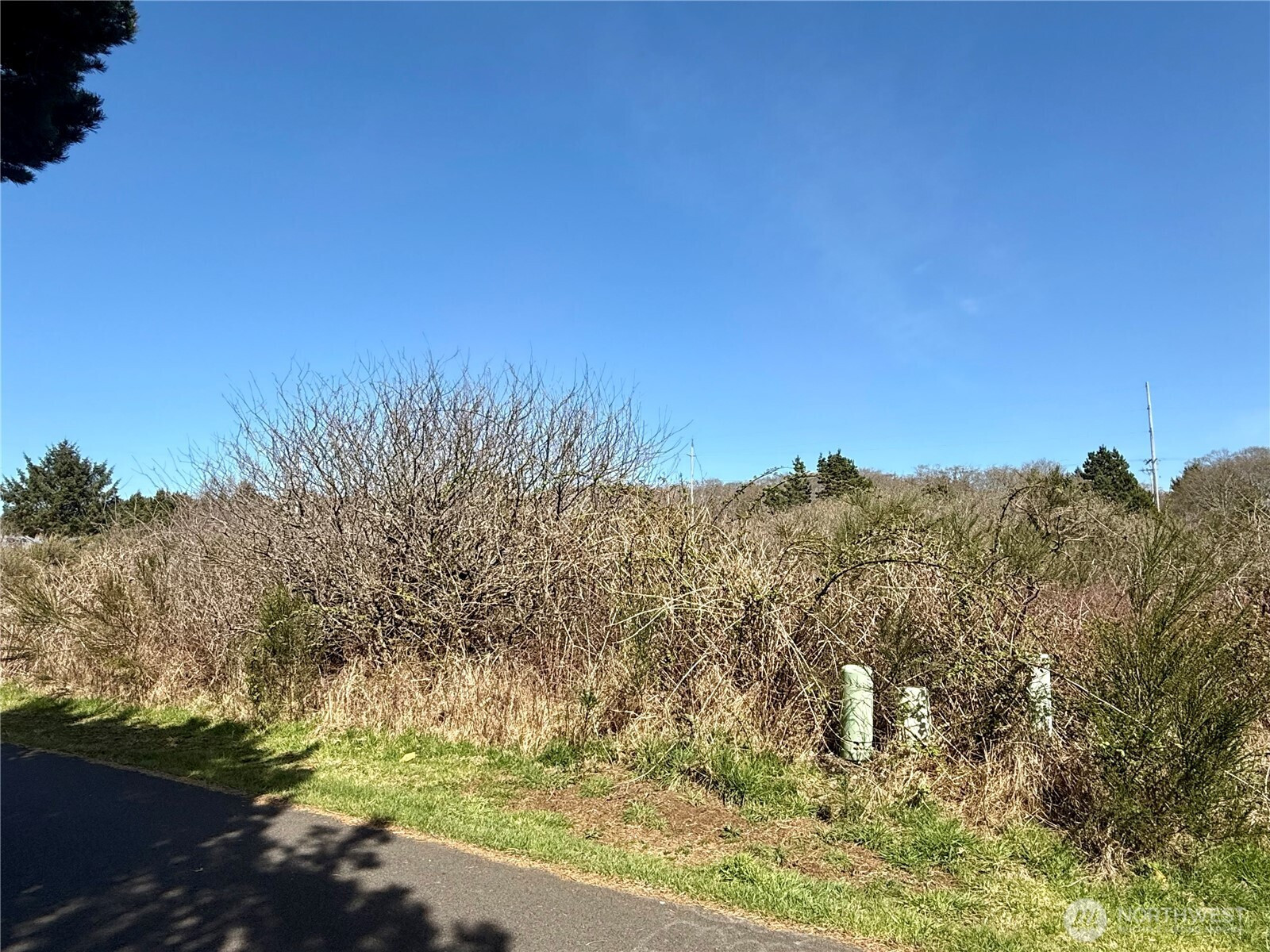 2 XXX Francis Seamore Lane, Grayland, WA 98547