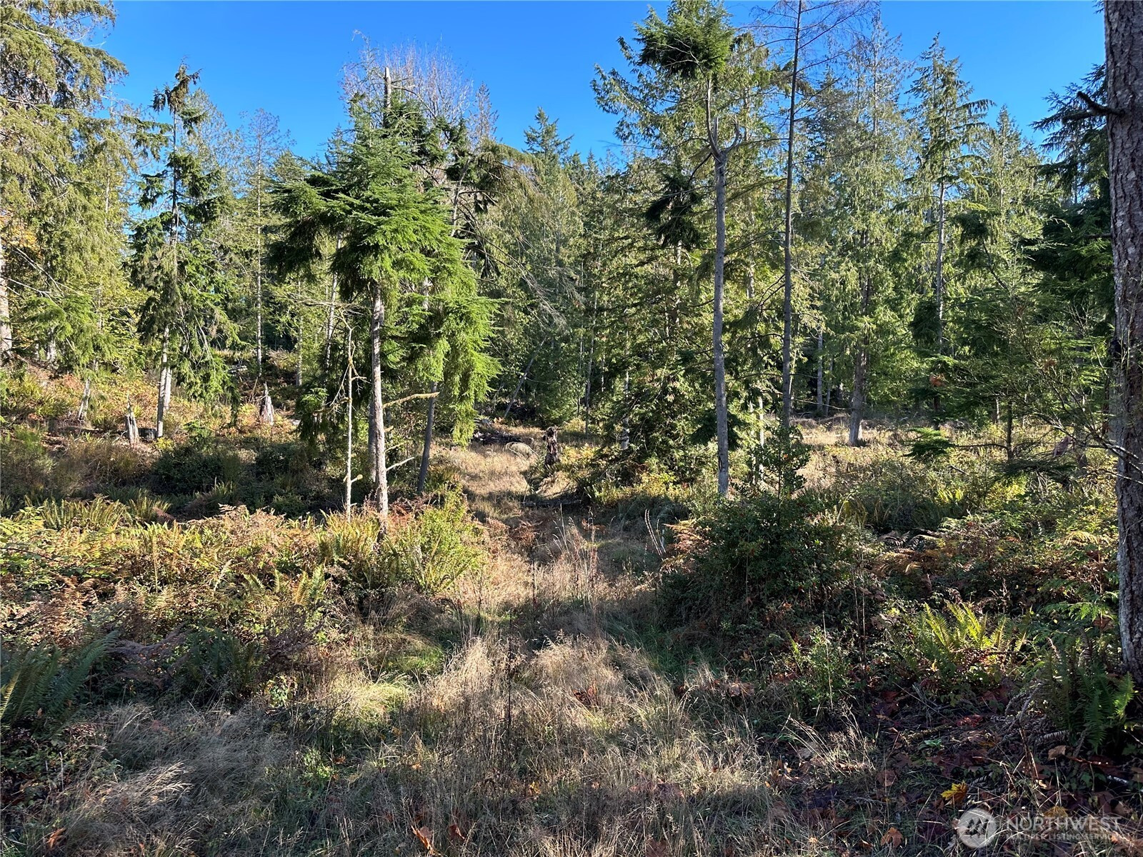 6 Lilypad Place E, Port Orchard, WA 98366