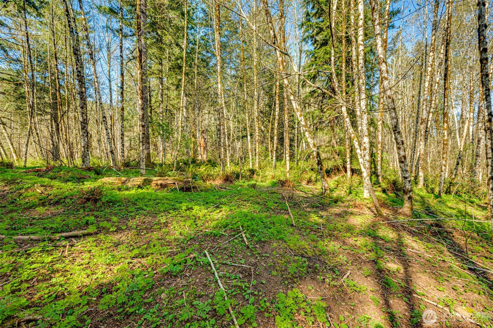 0 Buncombe Hollow Road NE, Woodland, WA 98674
