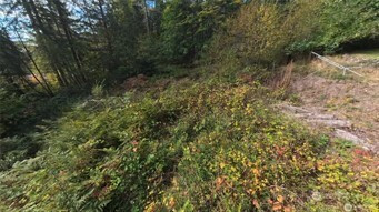 130 LOT: B, PTN BLK: 15, Hoodsport, WA 98548