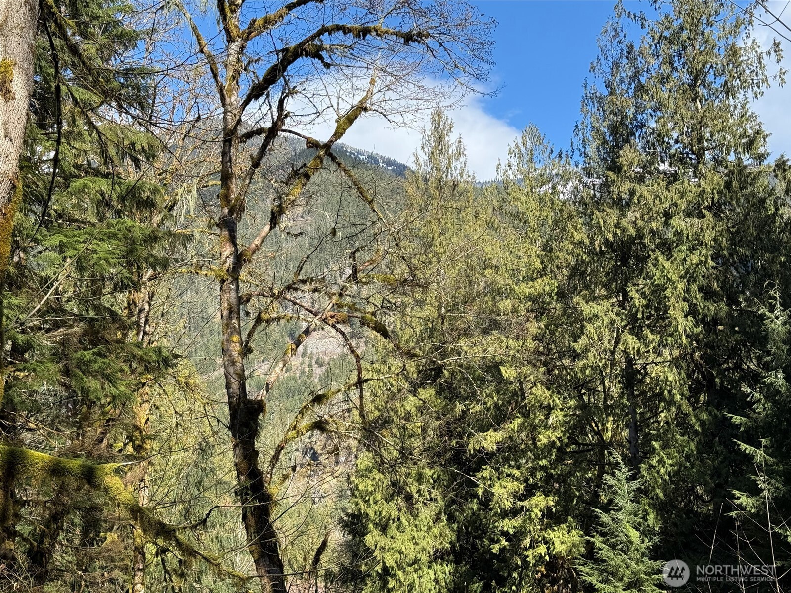 0 High Ridge Drive, Marblemount, WA 98267