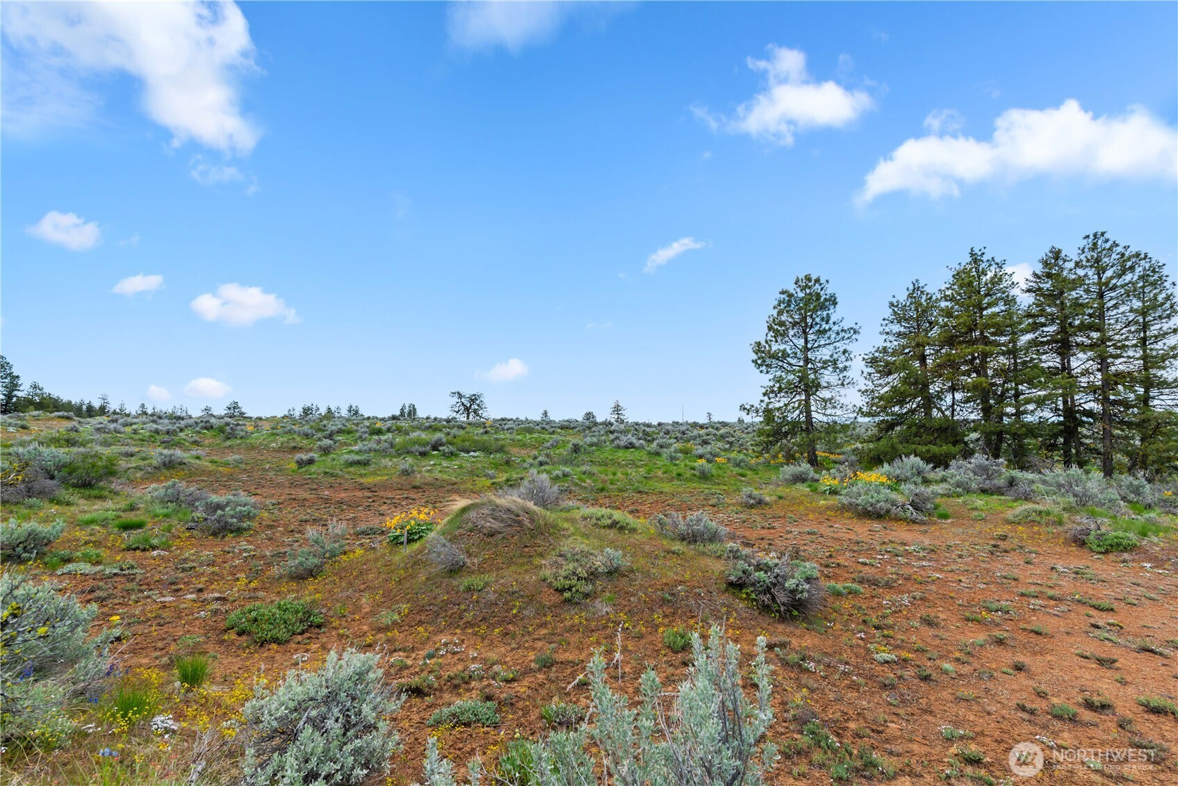 207 Falcon Ridge Road, East Wenatchee, WA 98802