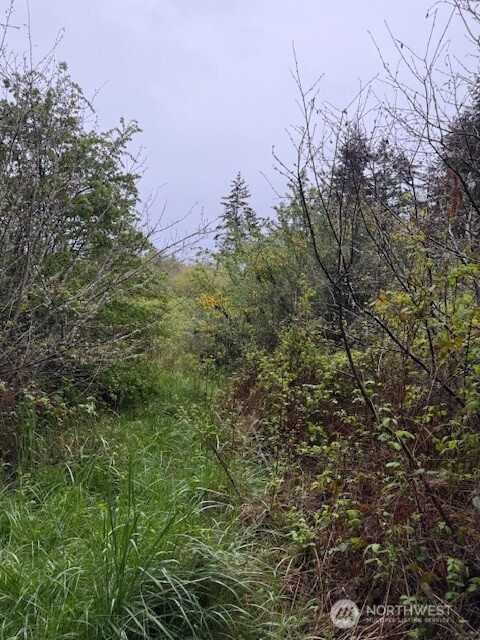 3 NKA Katherine Street, Port Townsend, WA 98368