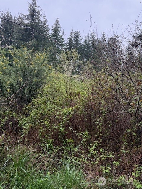 1 NKA Katherine Street, Port Townsend, WA 98368