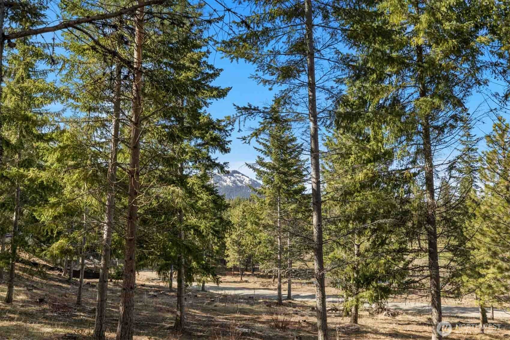 64 Liberty Bell Lane, Cle Elum, WA 98922