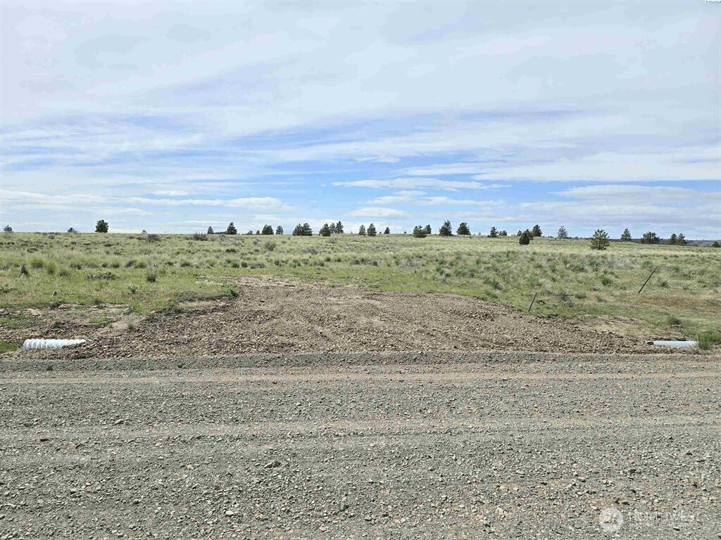 149 Middle Rd, Bickleton, WA 99322