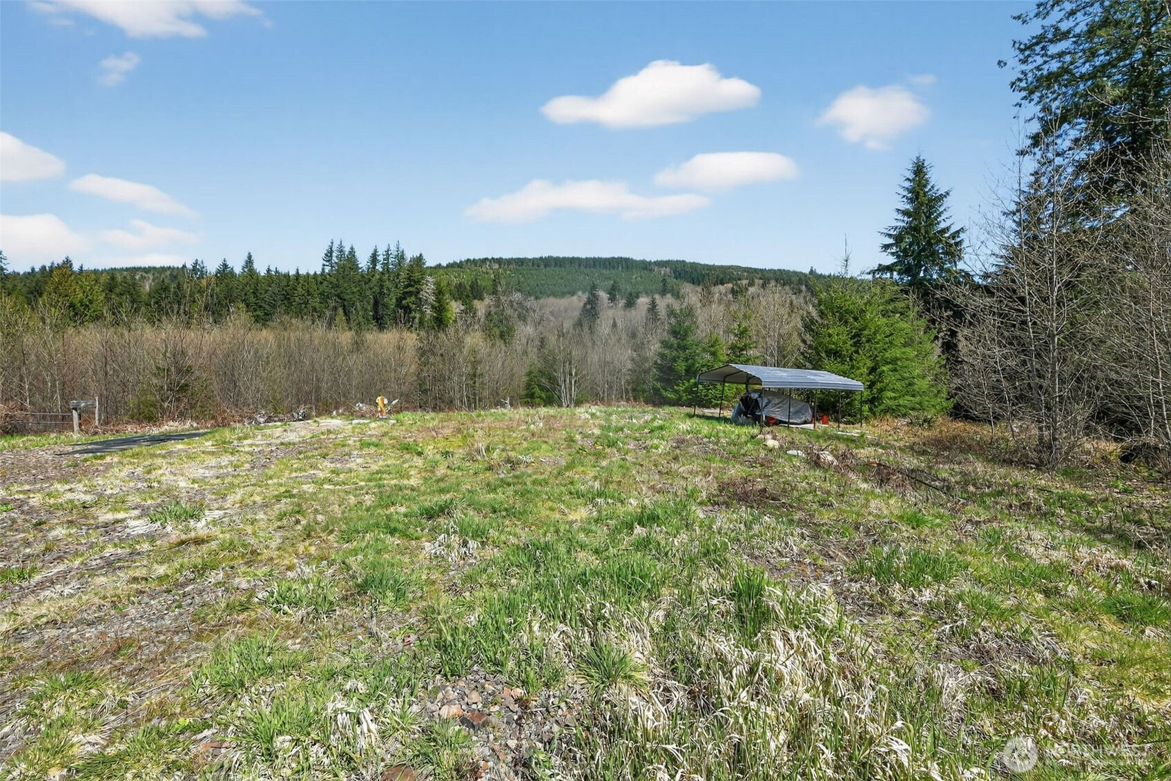 210 Bellicum Road, Morton, WA 98356