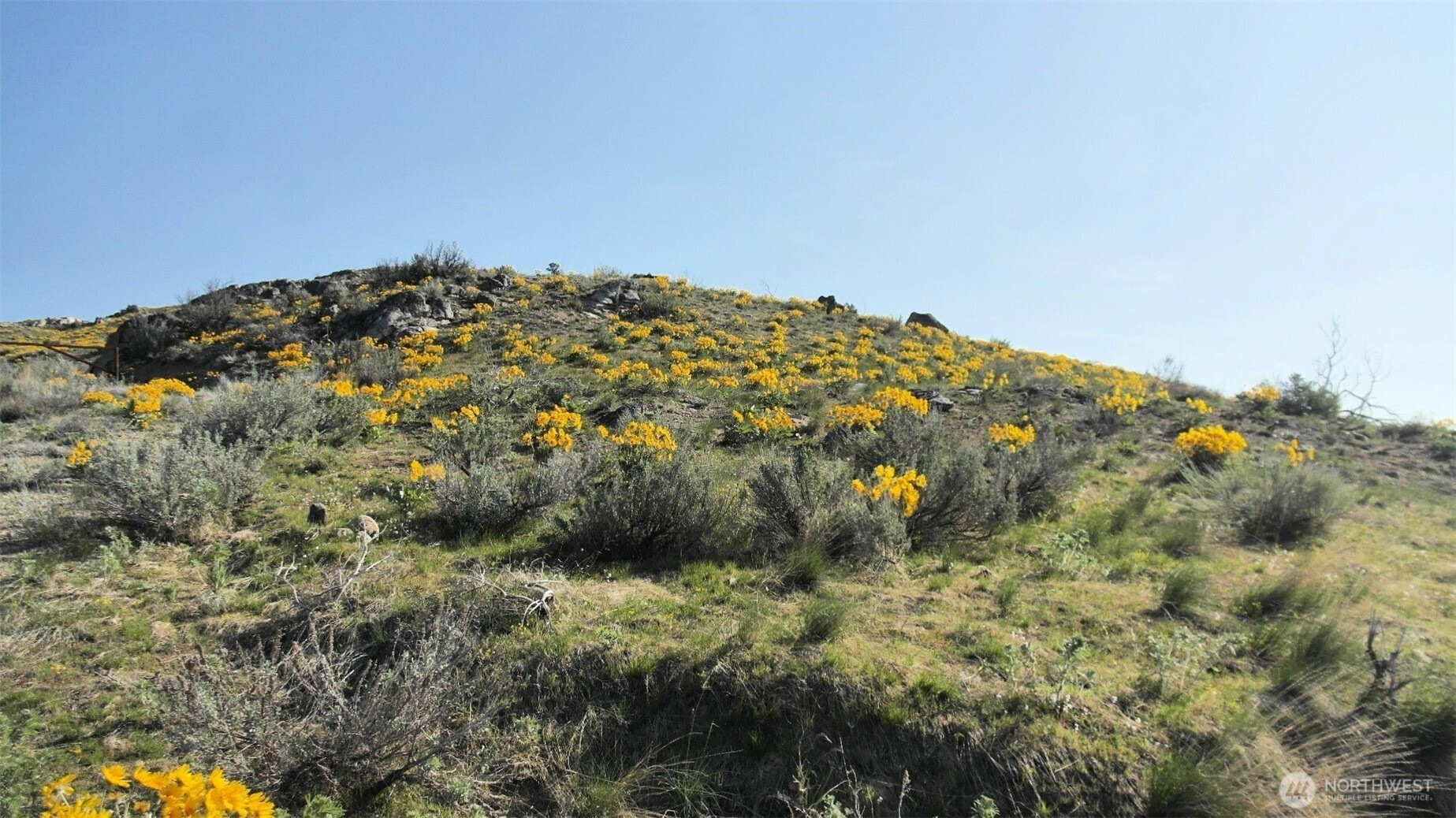 33 Avery Road, Pateros, WA 98834