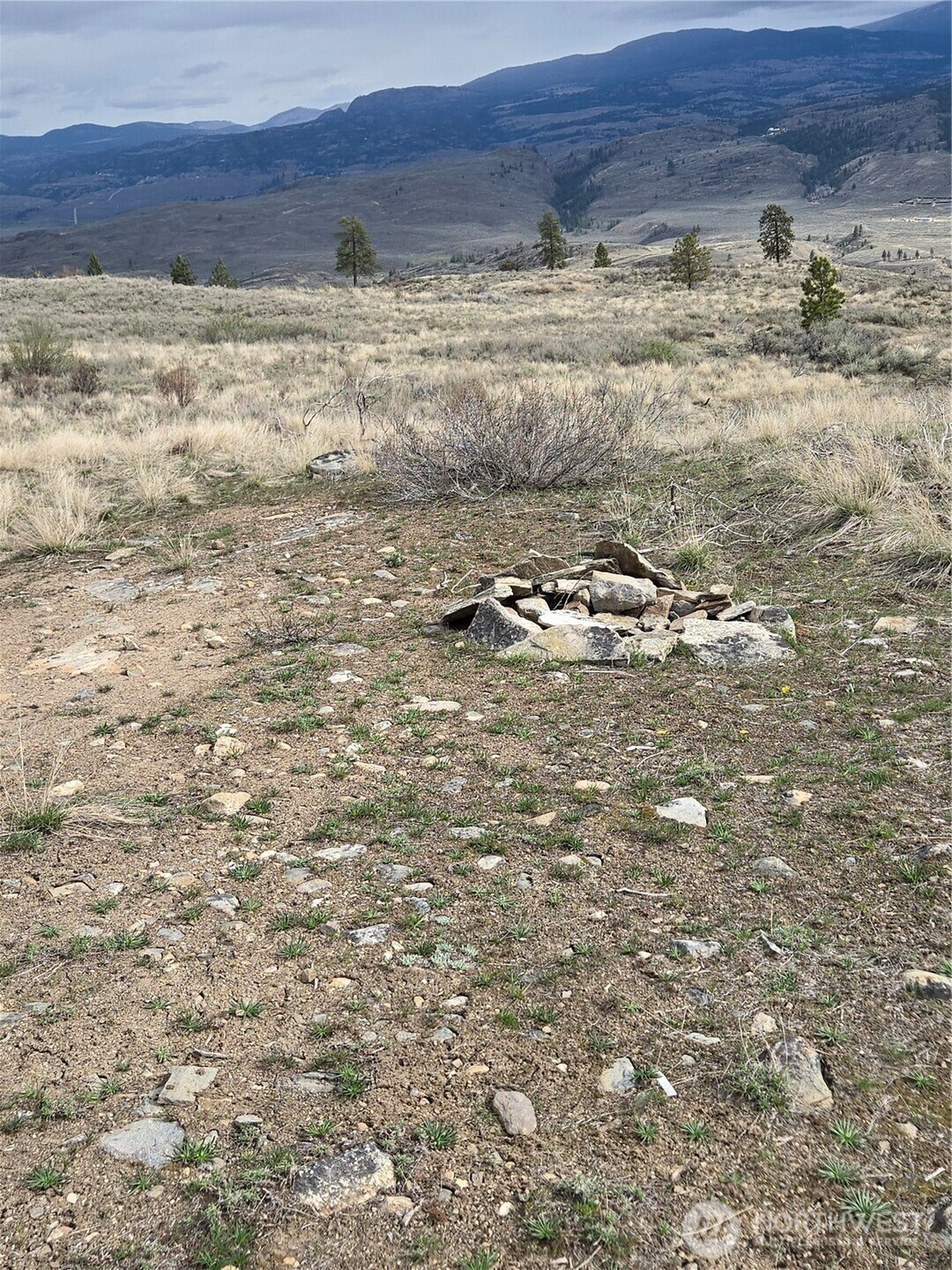 0 TBD Twin Springs Road, Tonasket, WA 98855