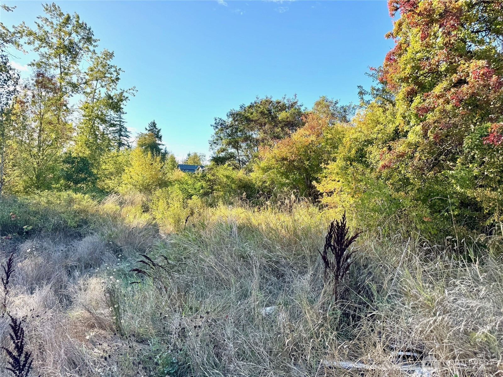 1311 xx S 87th Street, Tacoma, WA 98444