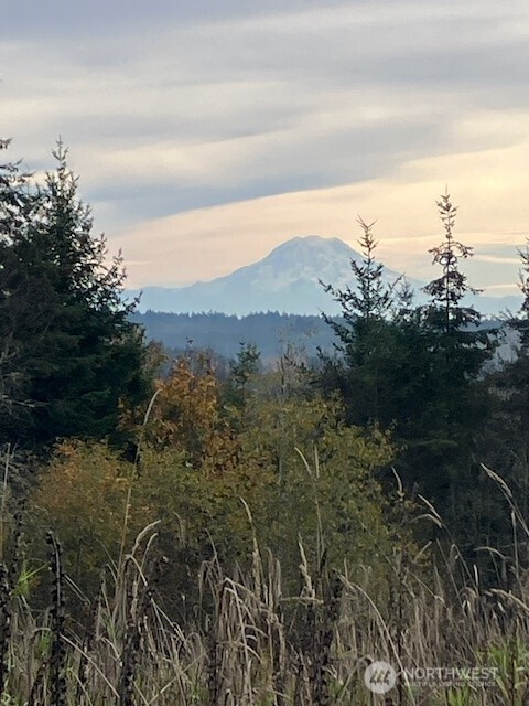 2 E Lone Fir Drive Drive E, Shelton, WA 98584