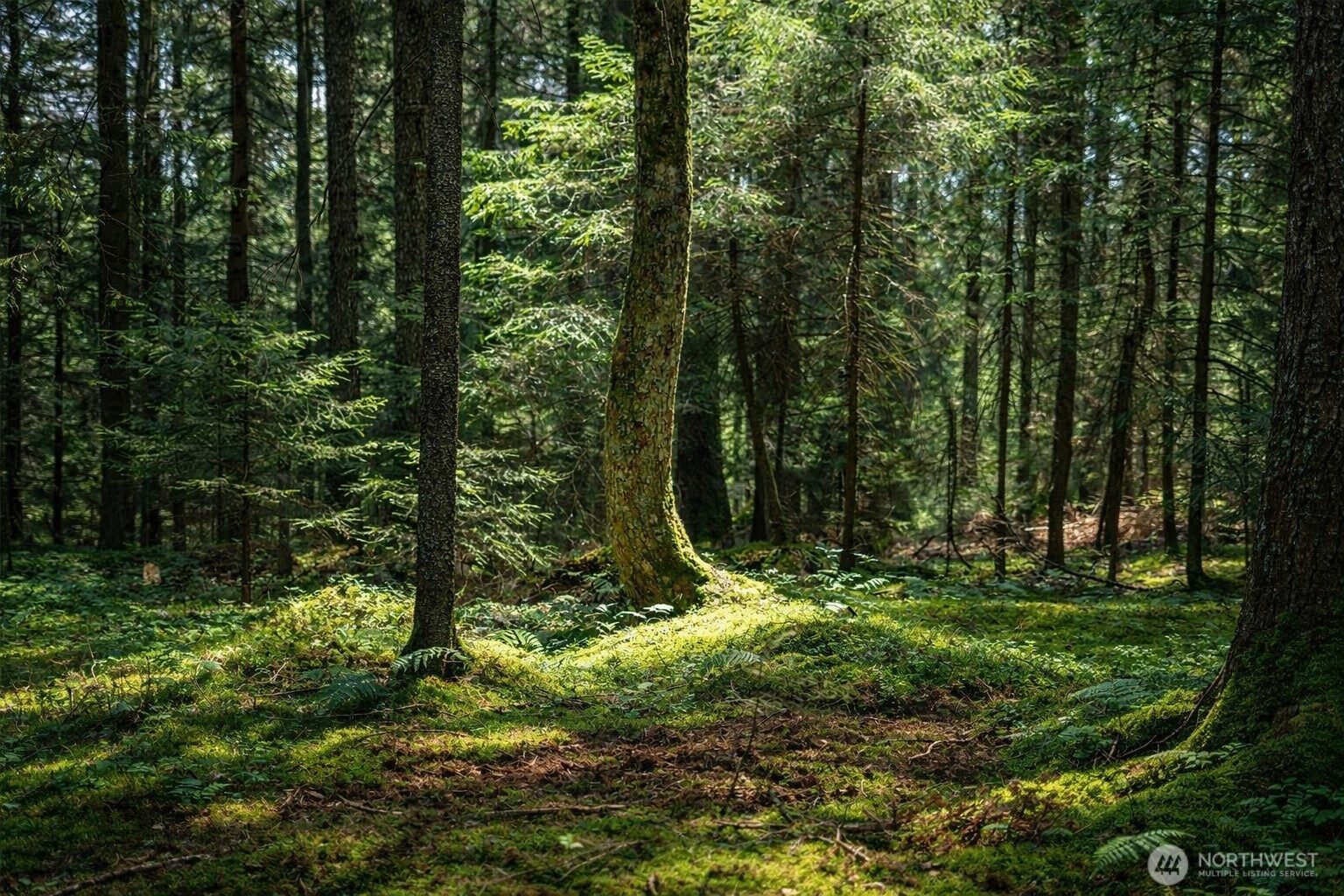 44110 SE 159th Street, North Bend, WA 98045