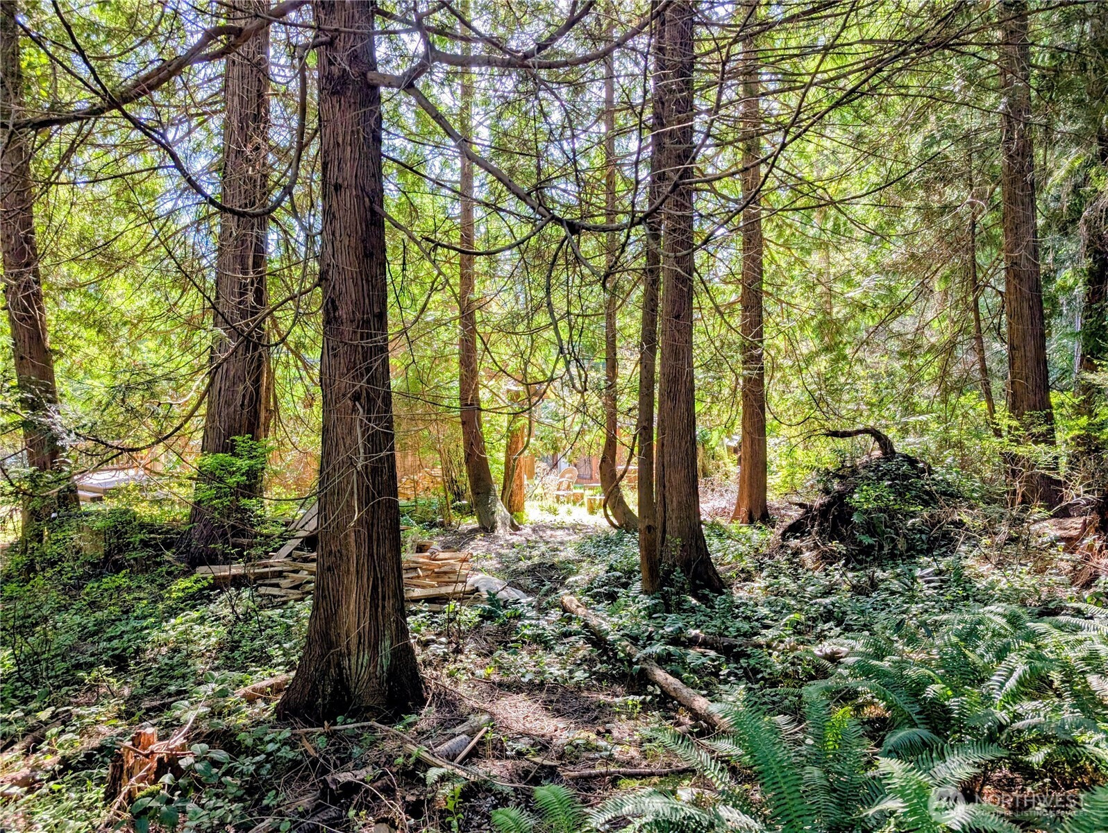 1940 N Cedar Park Drive, Point Roberts, WA 98281