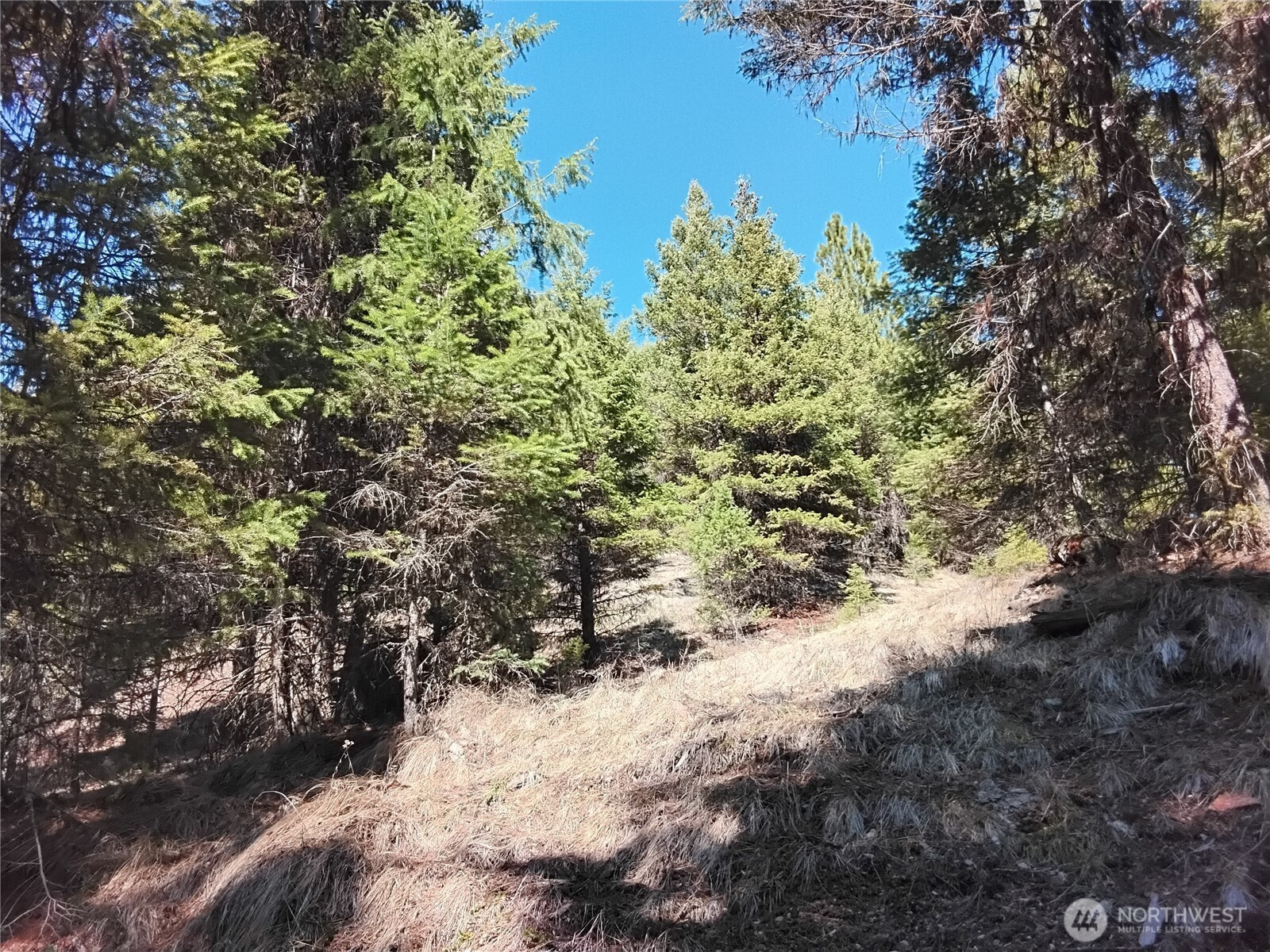 44 Trapline Loop Road, Oroville, WA 98844