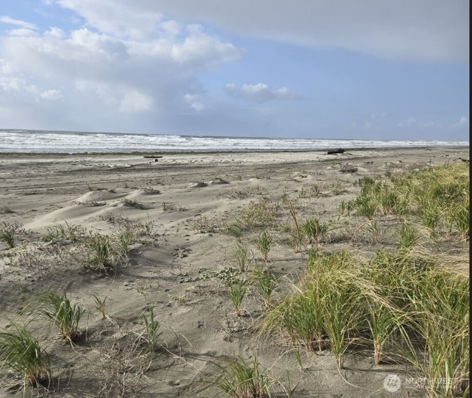 4717 State Route 105 S, Grayland, WA 98547