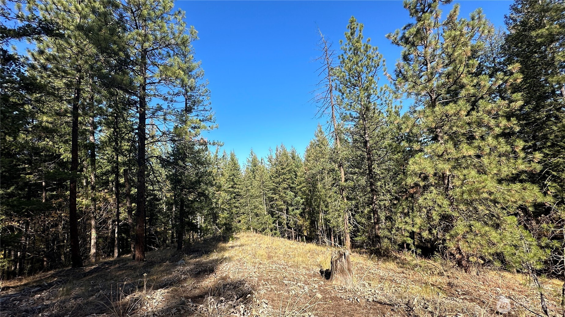 142 C Red Pine Court, Winthrop, WA 98862