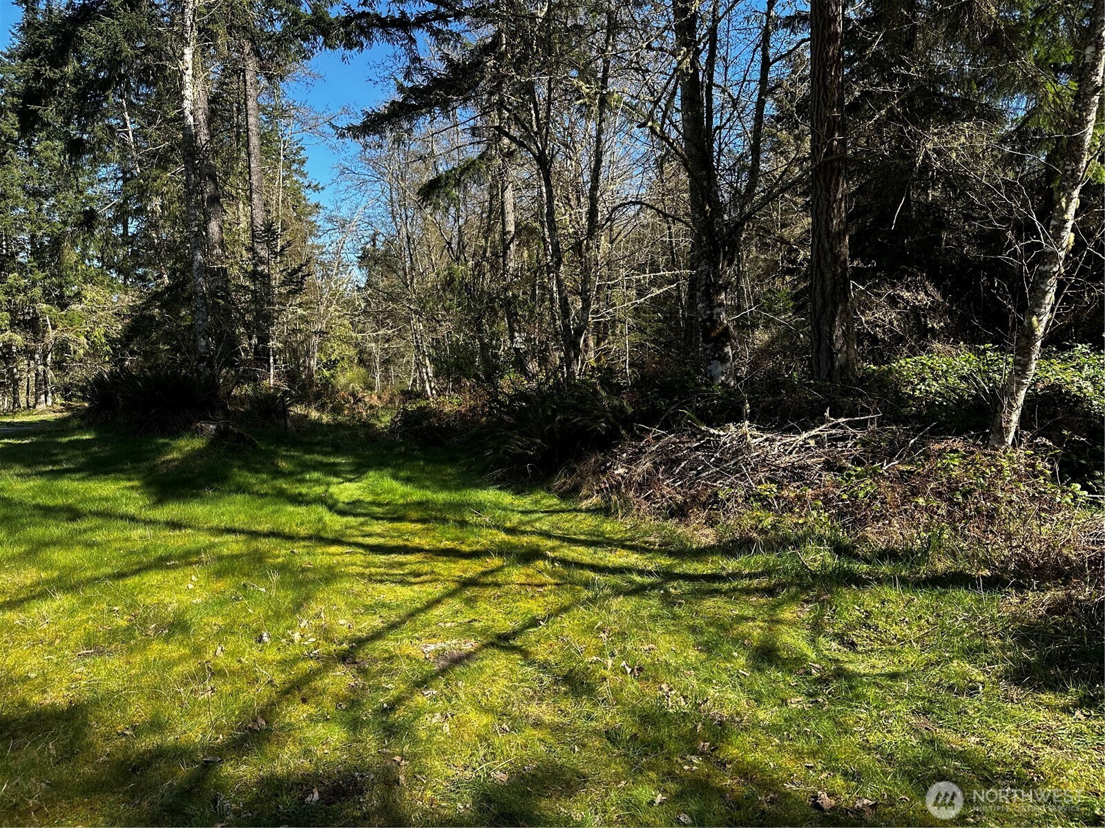 99 Lot 3 Robinson Road, Port Angeles, WA 98362